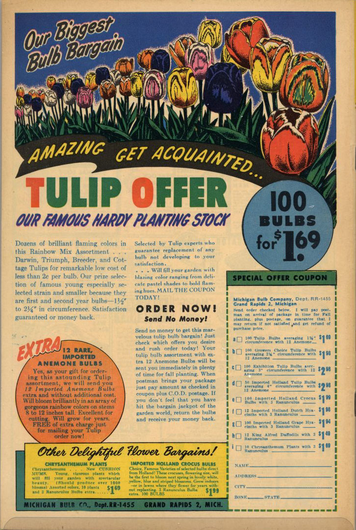 Read online Fight Comics comic -  Issue #71 - 36