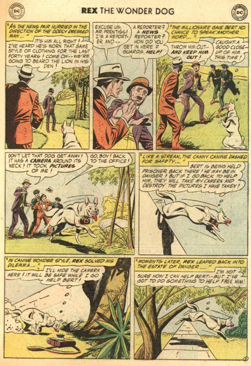 Read online The Adventures of Rex the Wonder Dog comic -  Issue #24 - 27