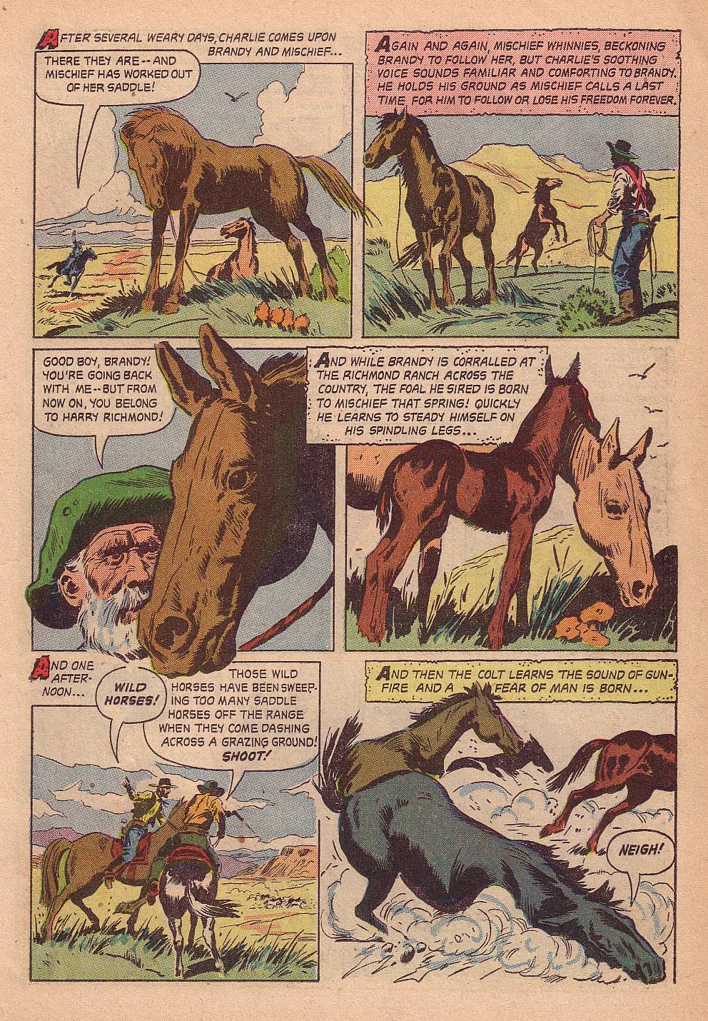 Read online Four Color Comics comic -  Issue #667 - 11