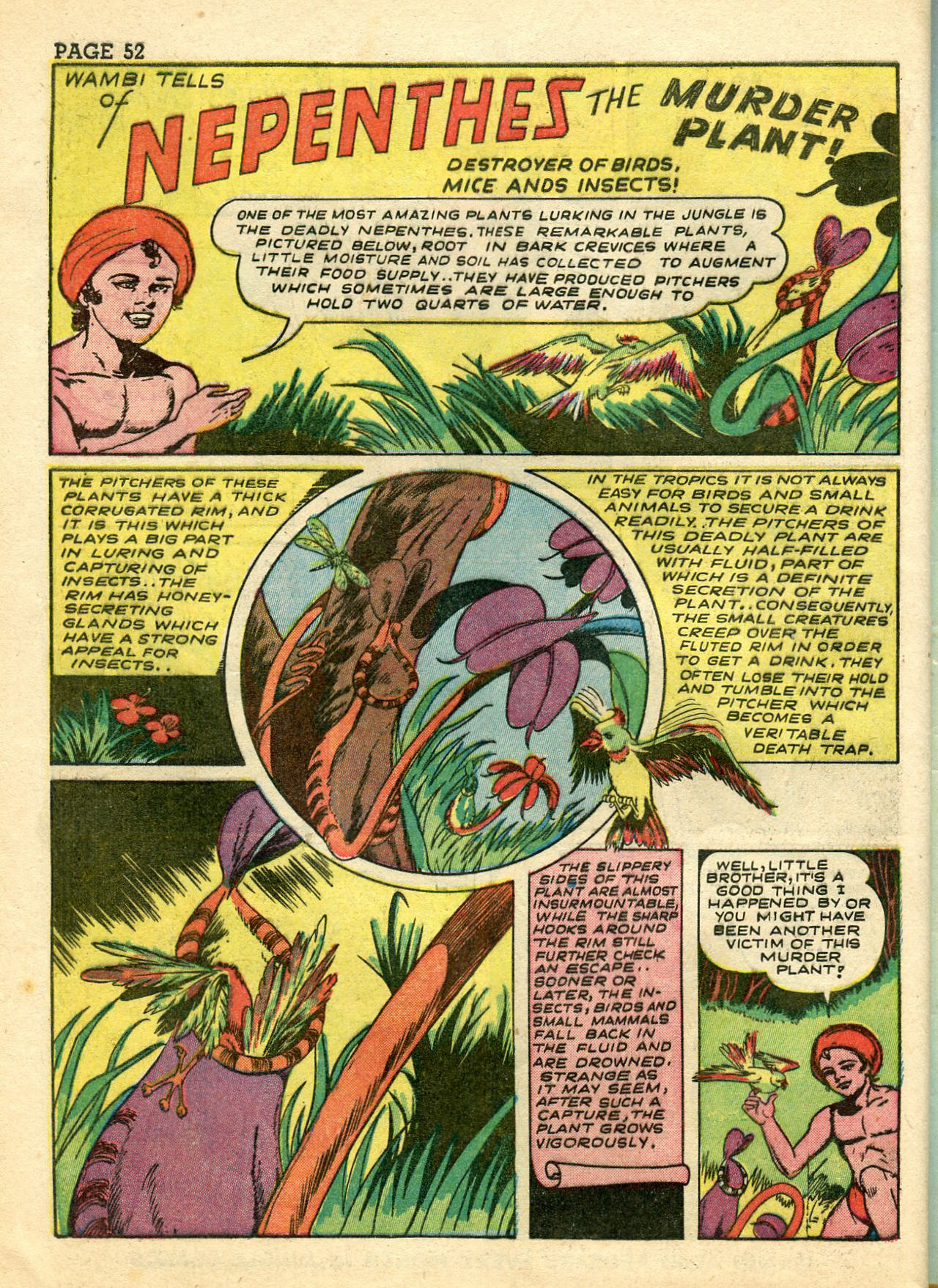 Read online Wambi Jungle Boy comic -  Issue #3 - 54