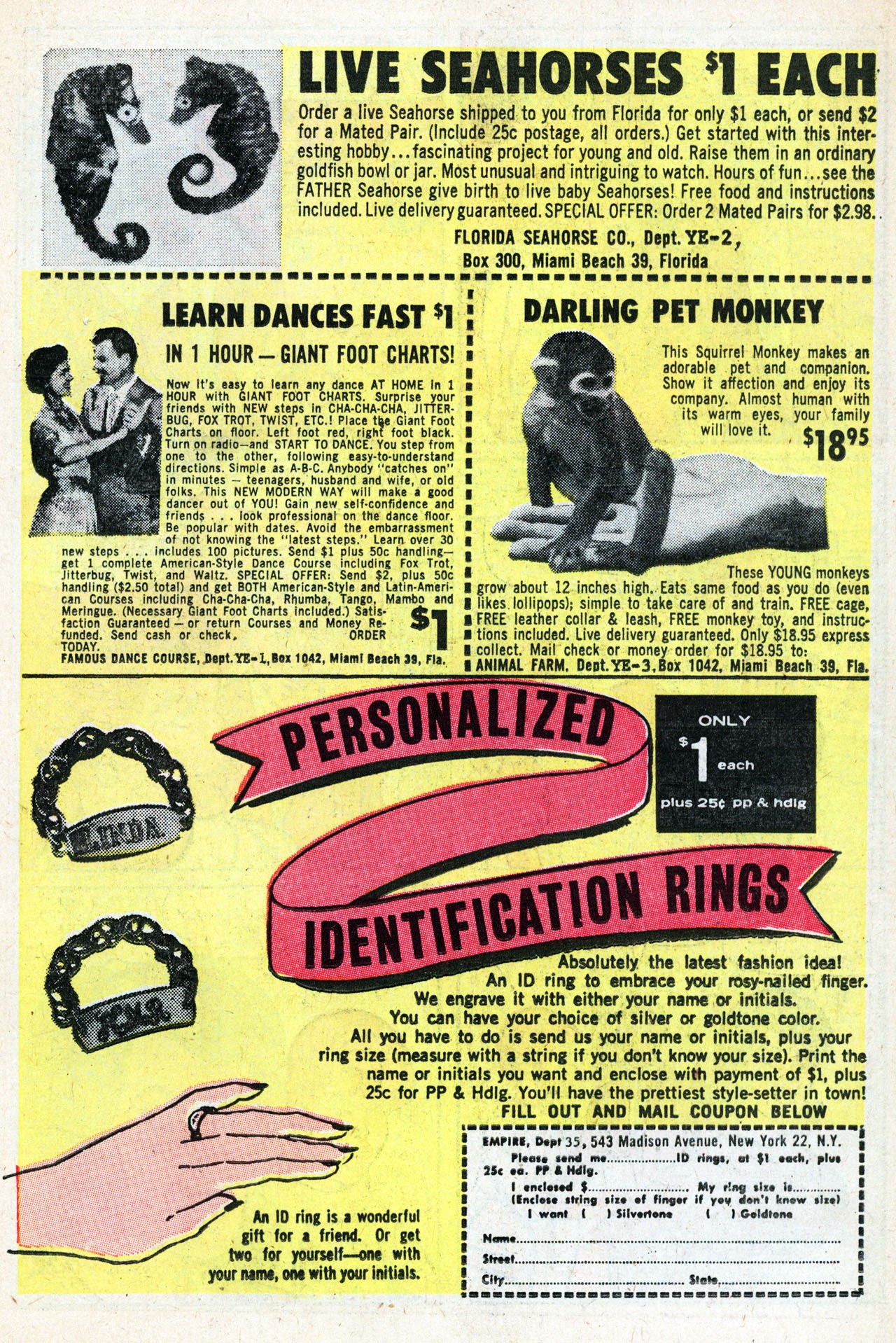 Read online Patsy and Hedy comic -  Issue #100 - 19