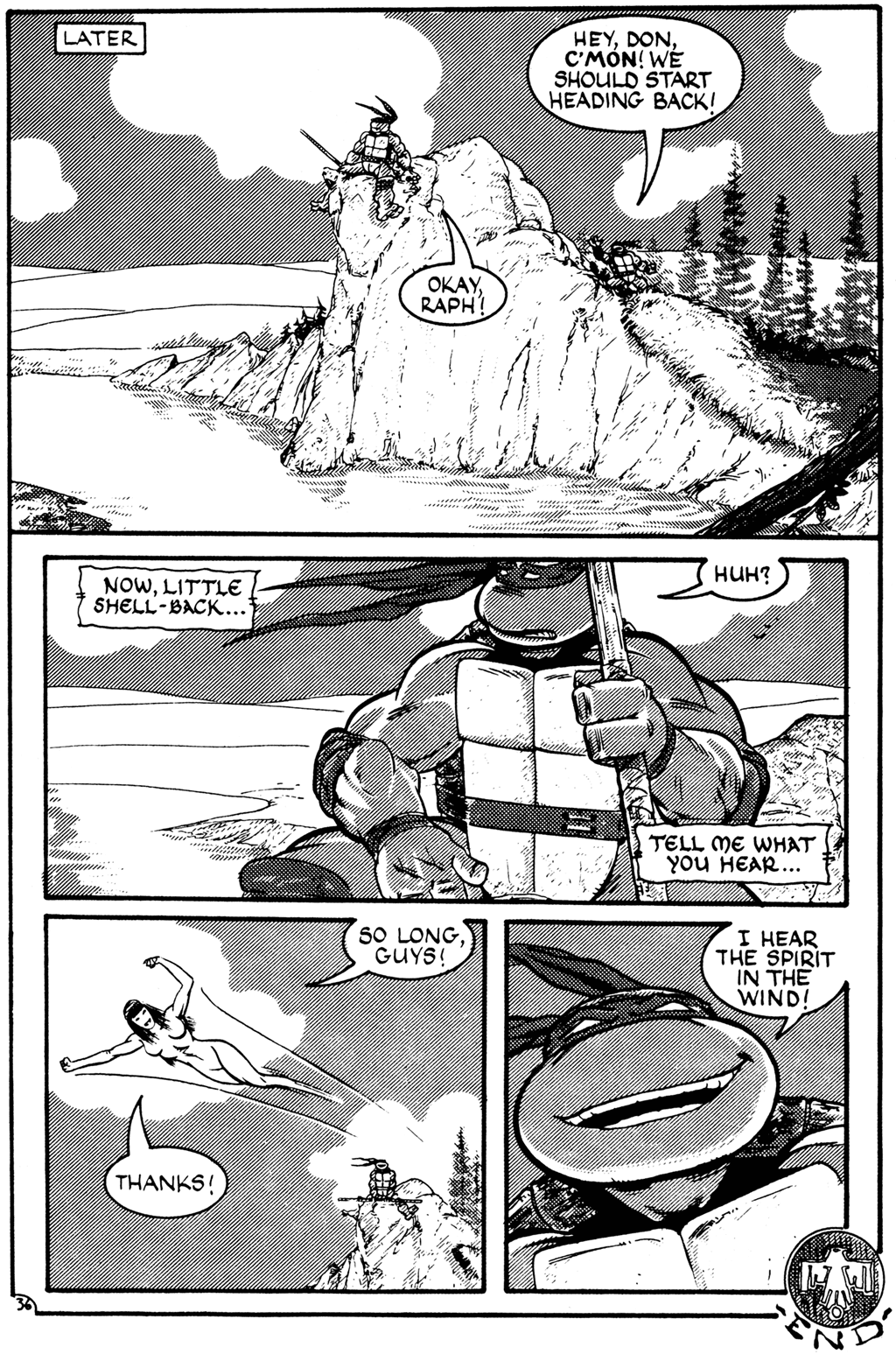 Teenage Mutant Ninja Turtles (1984) Issue #27 #27 - English 36