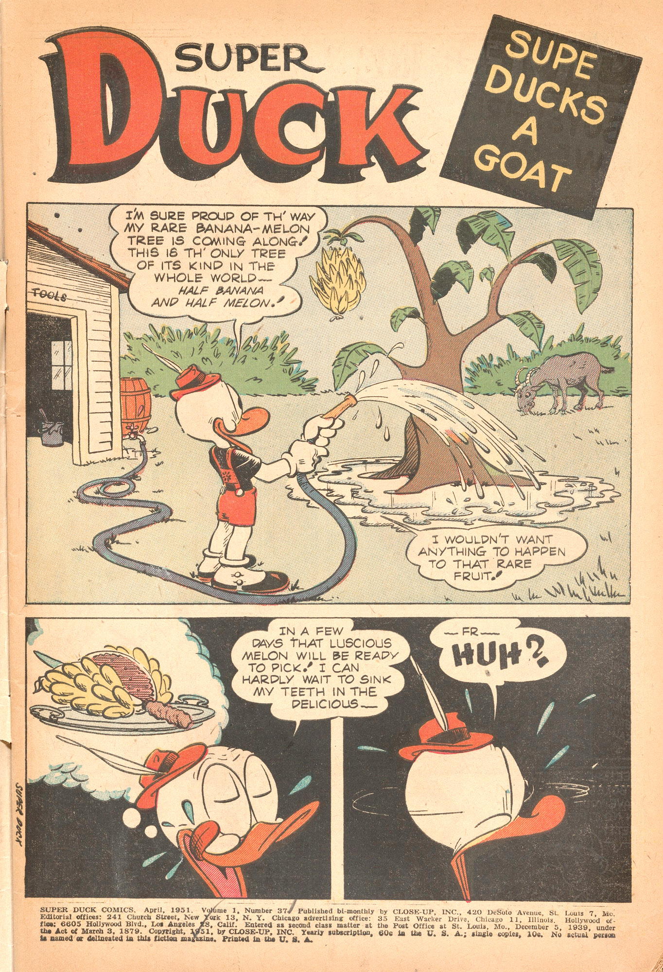 Read online Super Duck Comics comic -  Issue #37 - 3