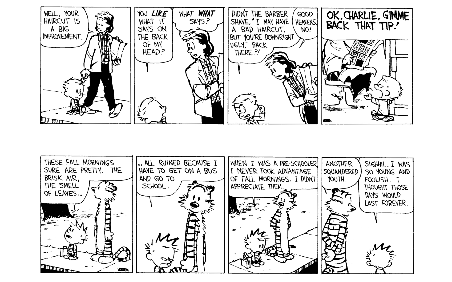 Read online Calvin and Hobbes comic -  Issue #9 - 11