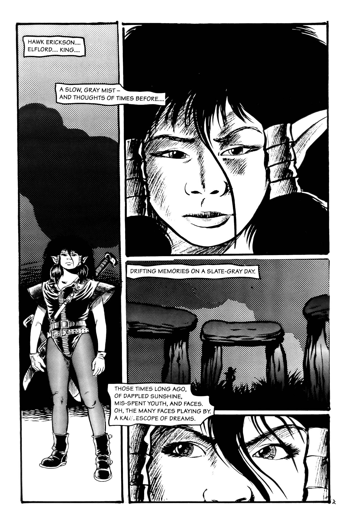 Read online Elfheim (1992) comic -  Issue #2 - 4