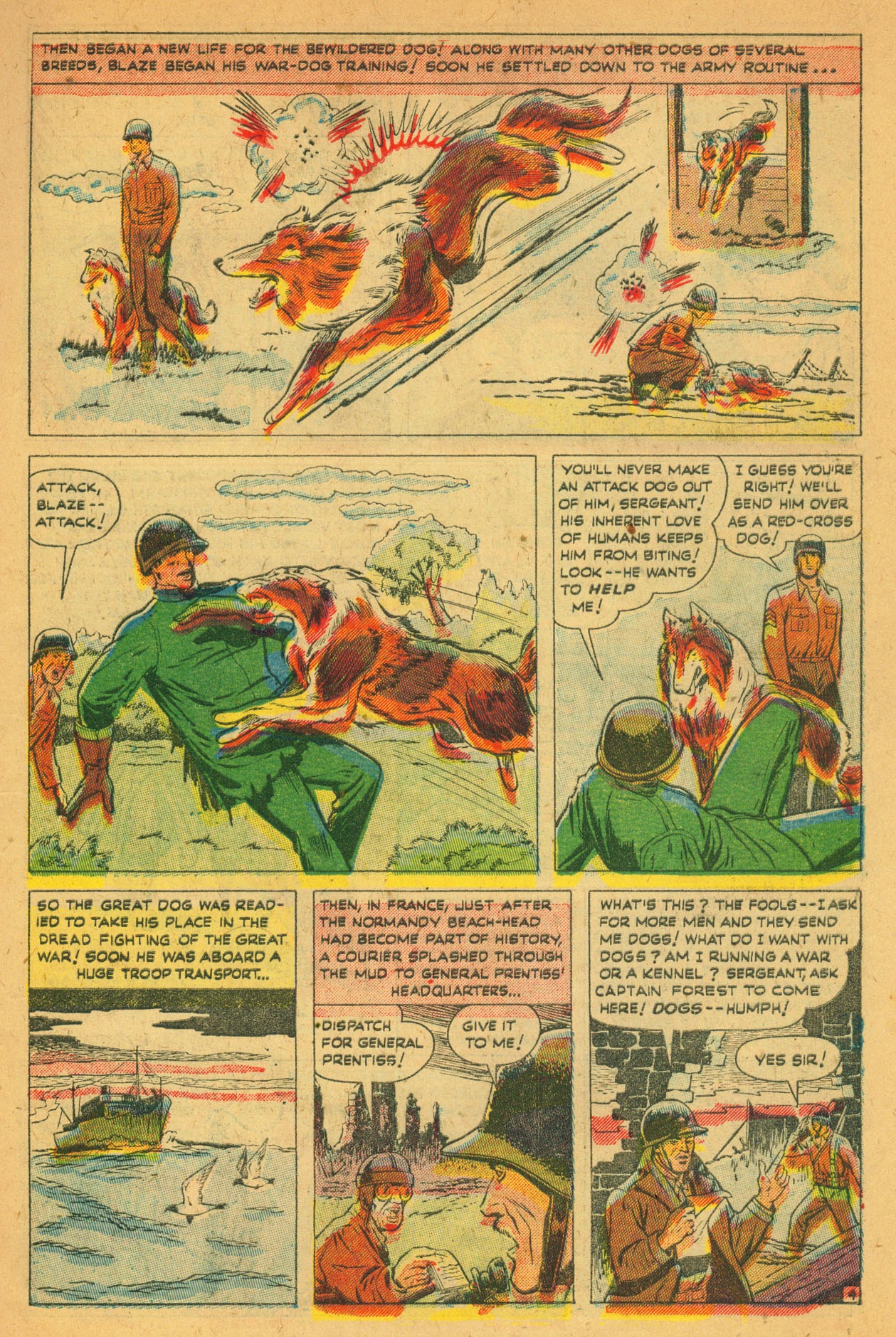 Read online Blaze the Wonder Collie comic -  Issue #2 - 7