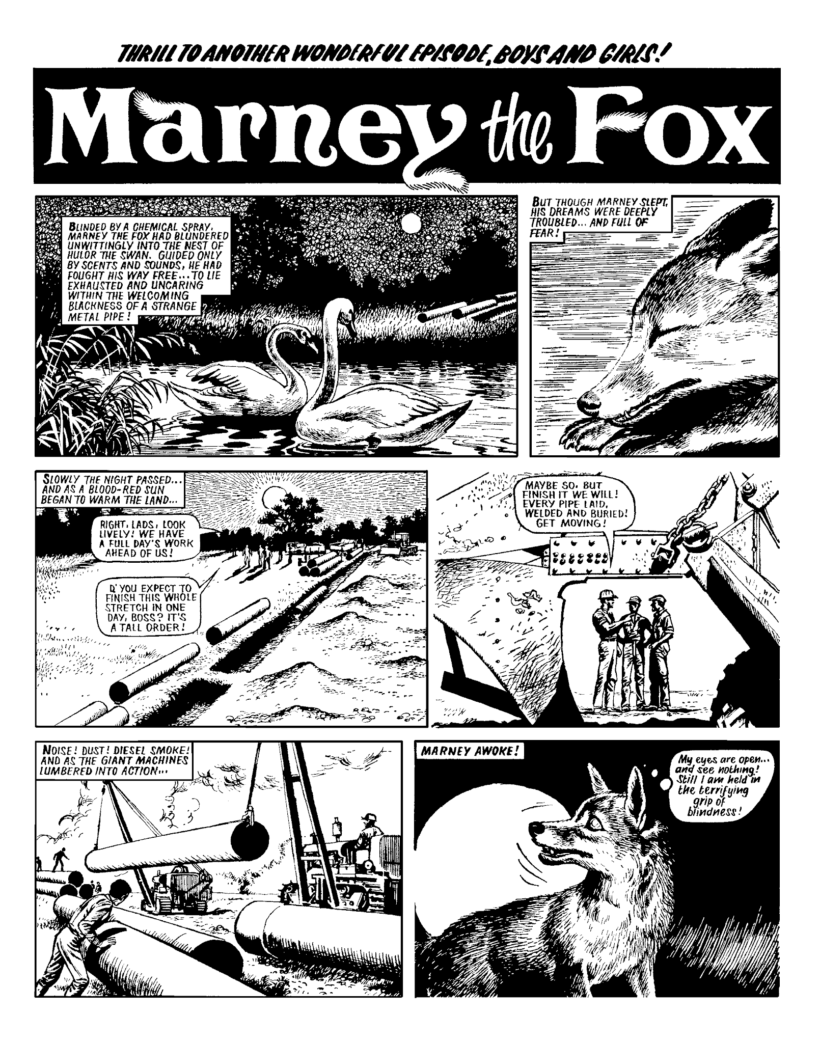 Read online Marney the Fox comic -  Issue # TPB (Part 2) - 120