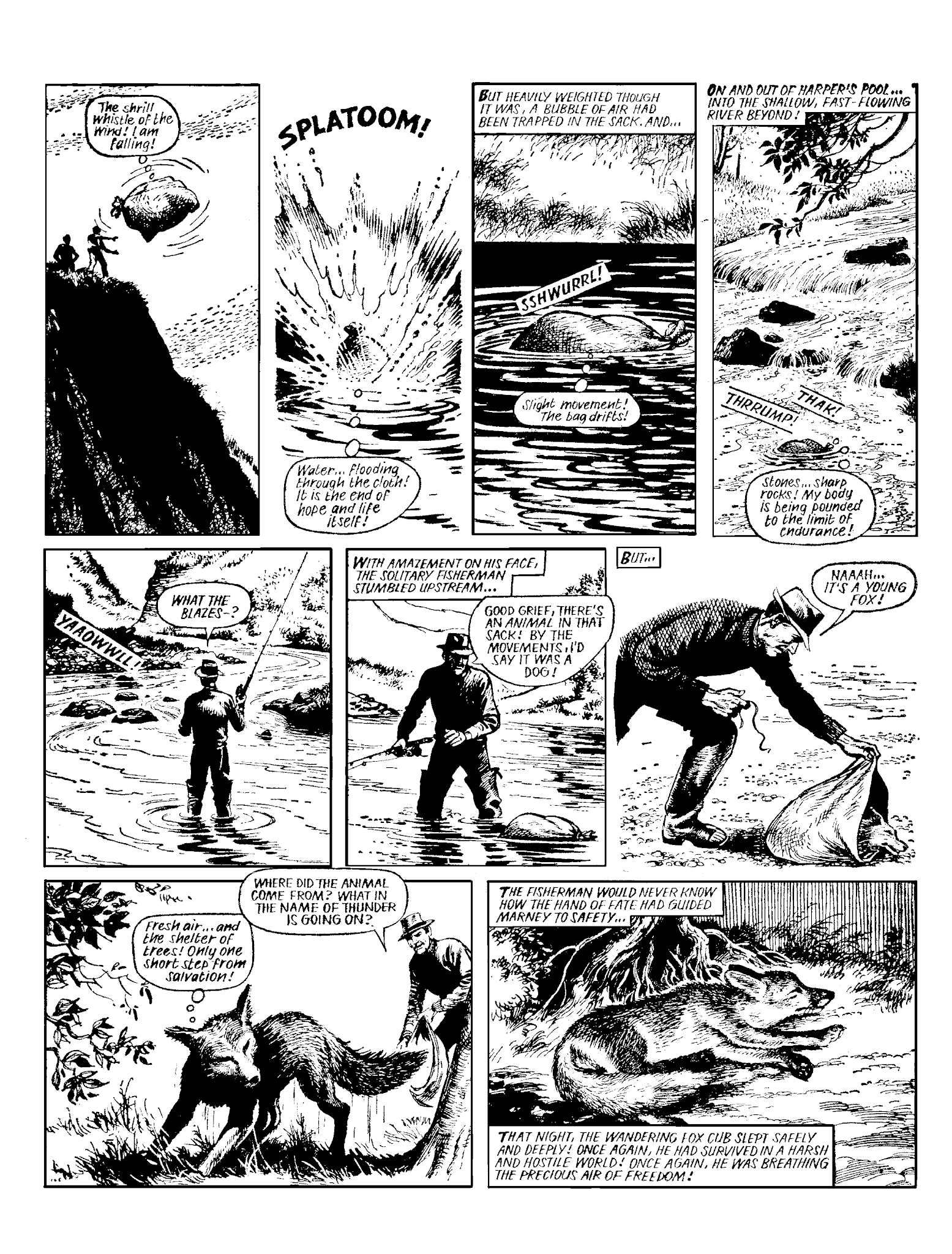 Read online Marney the Fox comic -  Issue # TPB (Part 2) - 33