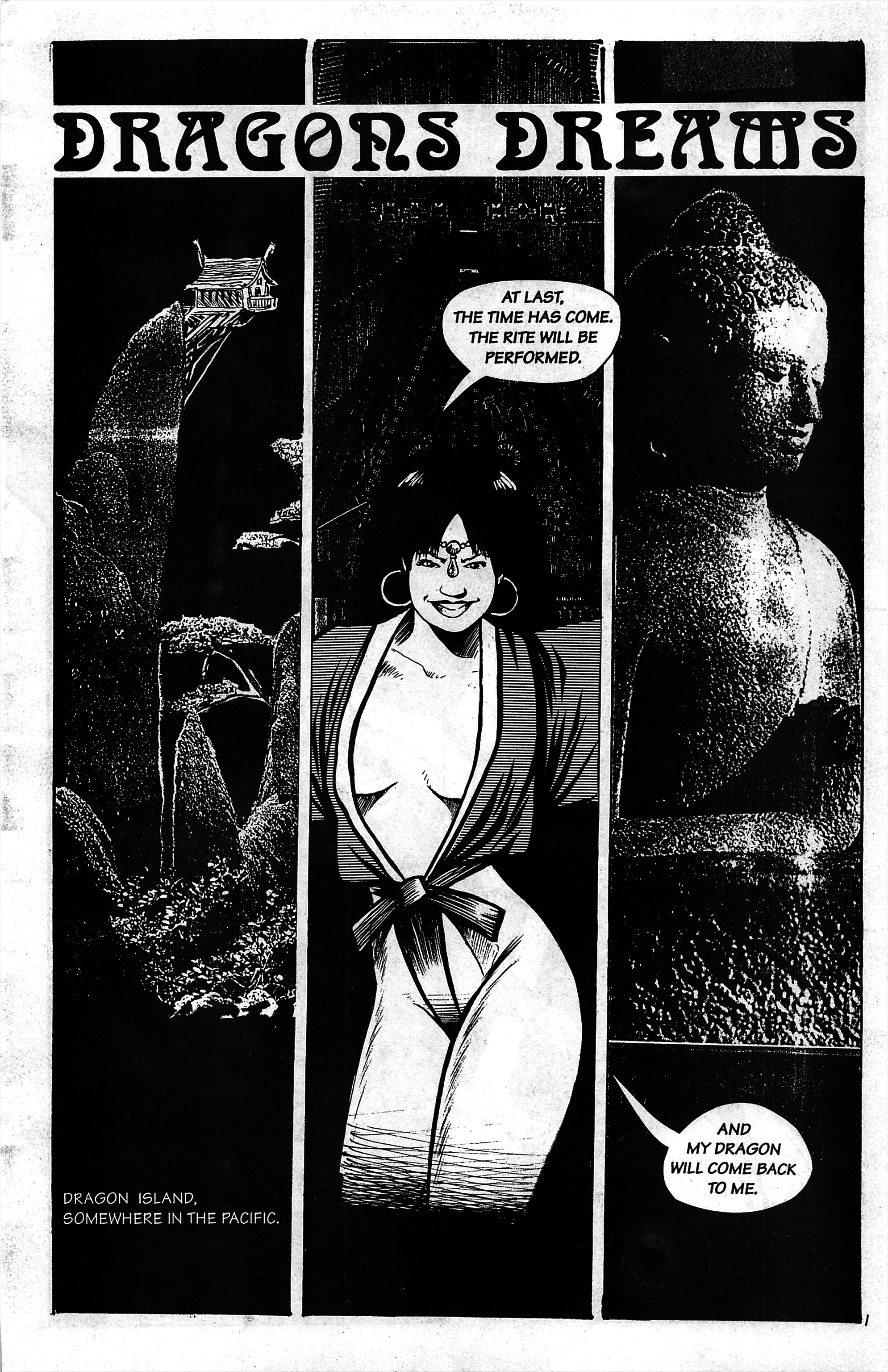 Read online Dragonfire: The Classified Files comic -  Issue #1 - 3