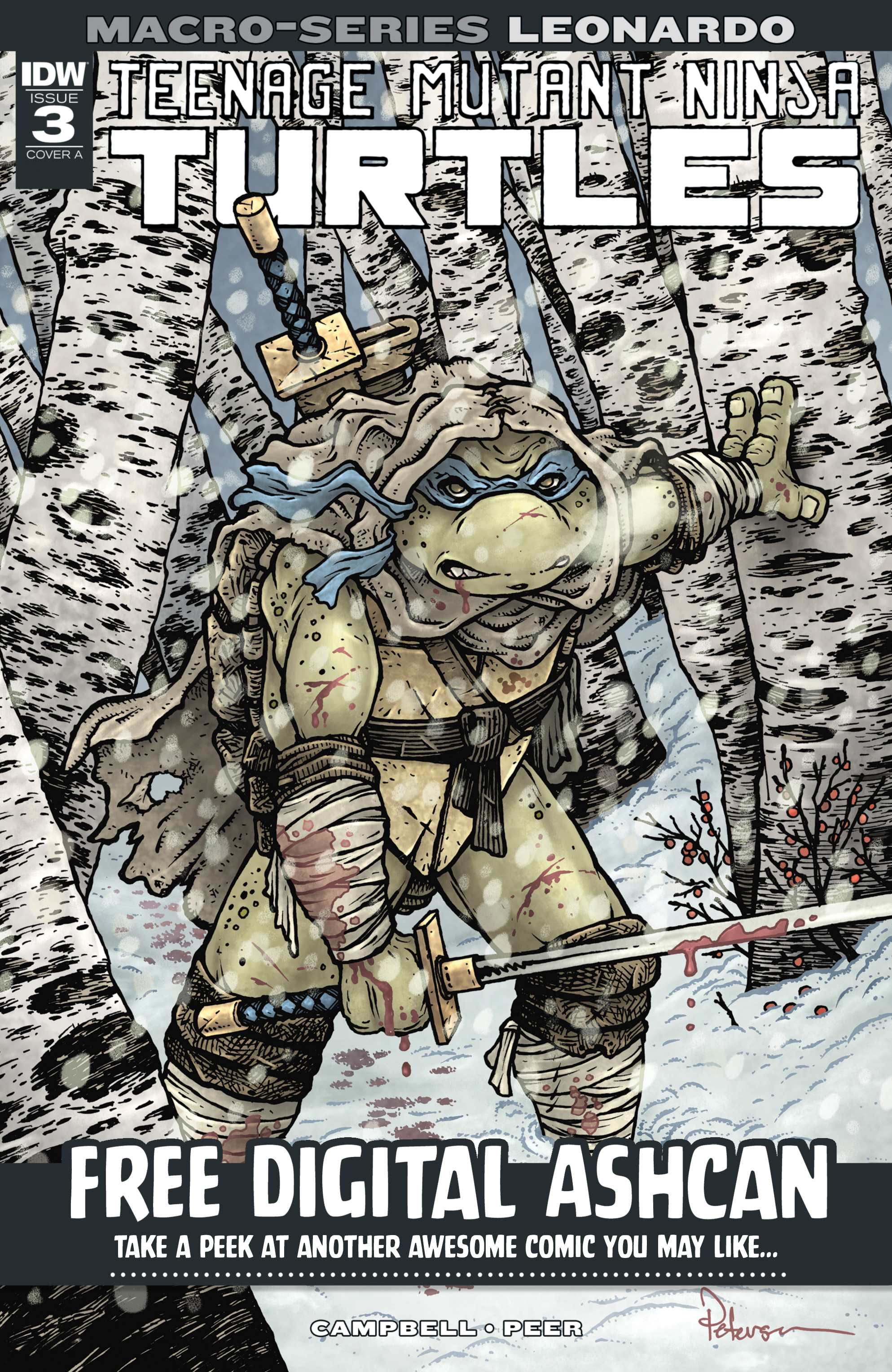 Read online Teenage Mutant Ninja Turtles (2011) comic -  Issue #101 - 29