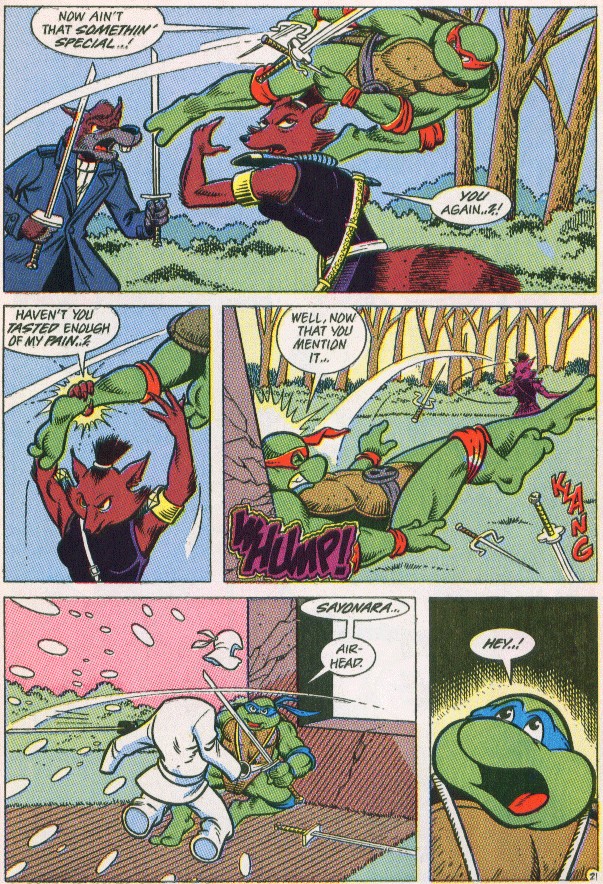 Read online Teenage Mutant Ninja Turtles Adventures (1989) comic -  Issue #29 - 22