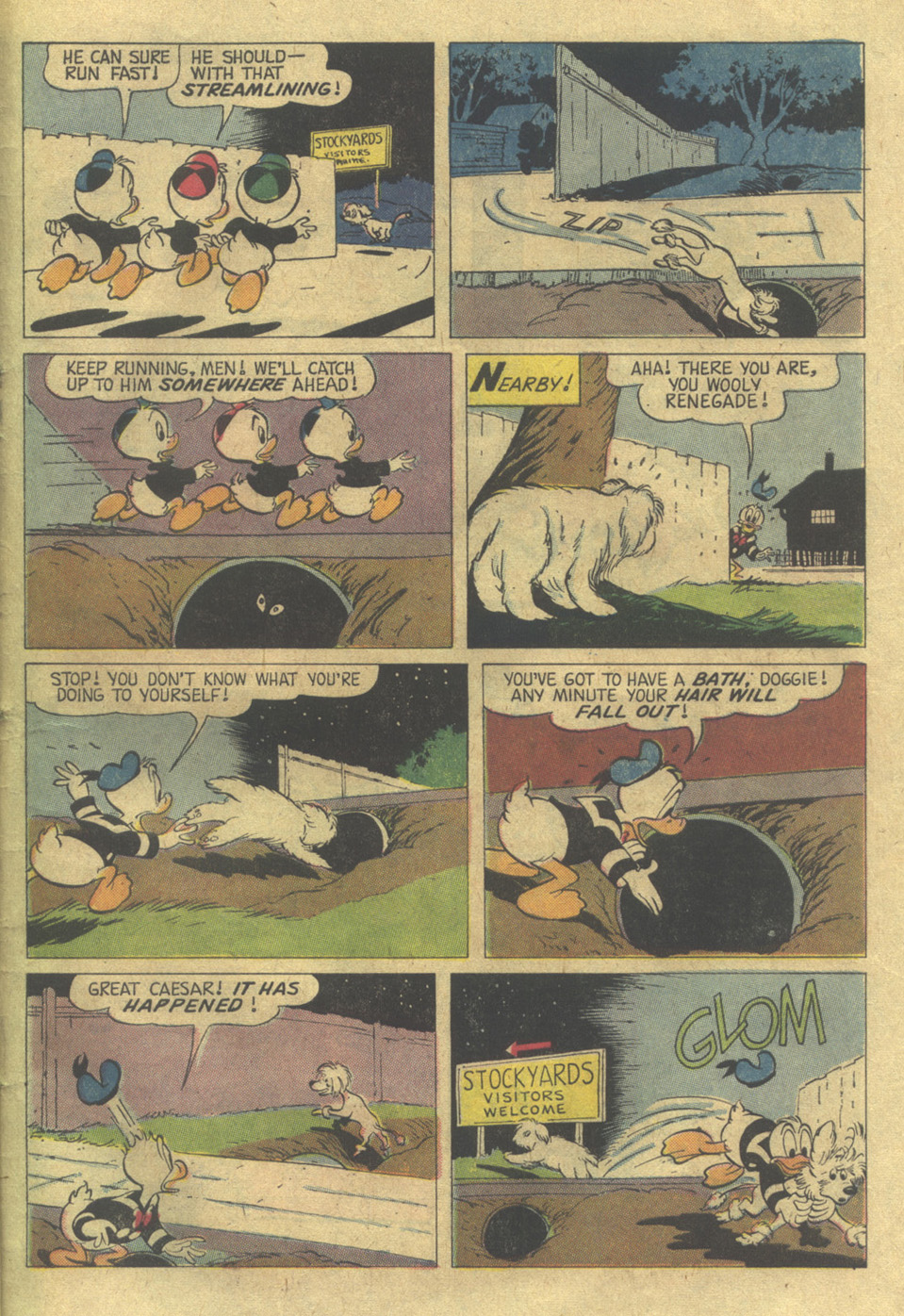 Read online Huey, Dewey, and Louie Junior Woodchucks comic -  Issue #25 - 31