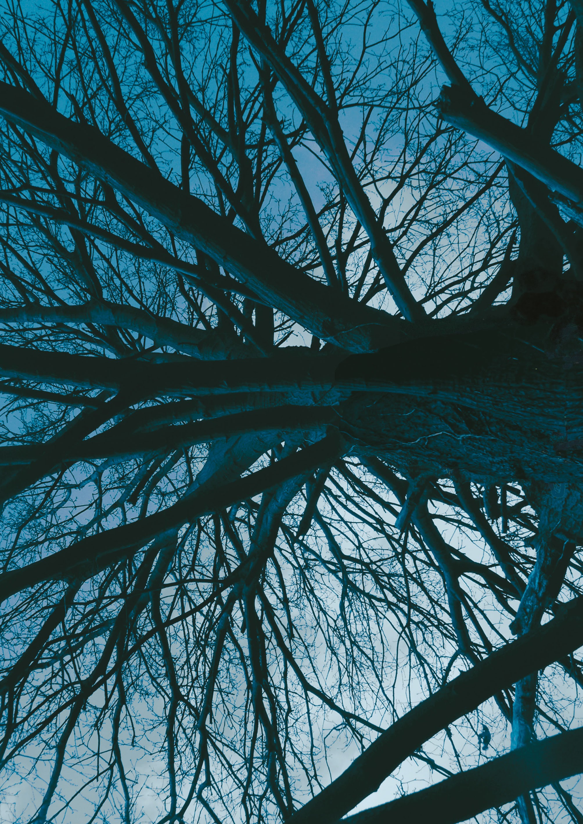 Read online Lip Hook comic -  Issue # TPB (Part 1) - 2