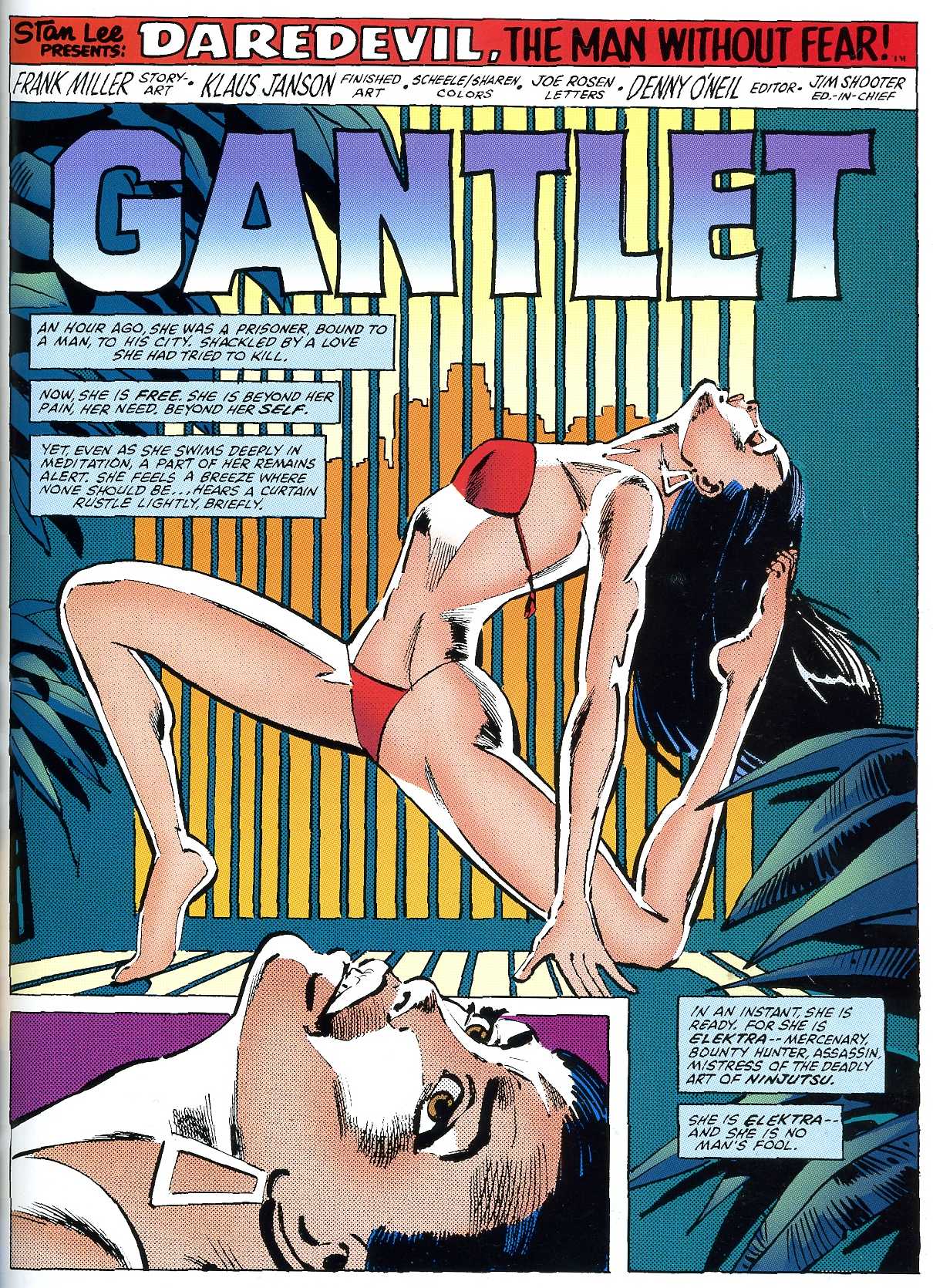 Read online Daredevil Visionaries: Frank Miller comic -  Issue # TPB 2 - 163