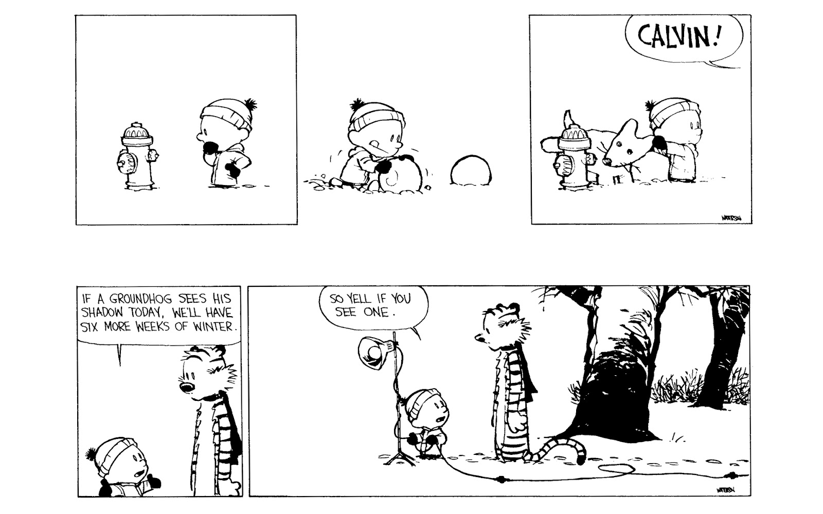Calvin and Hobbes issue 10 - Page 144