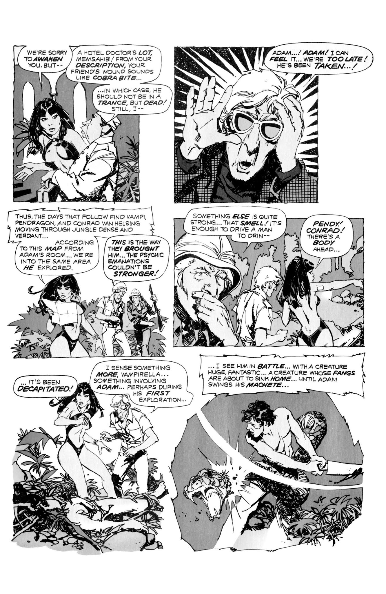 Read online Vampirella: The Essential Warren Years comic -  Issue # TPB (Part 5) - 43