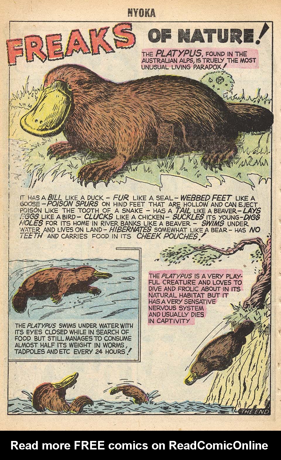 Read online Nyoka the Jungle Girl (1955) comic -  Issue #16 - 26
