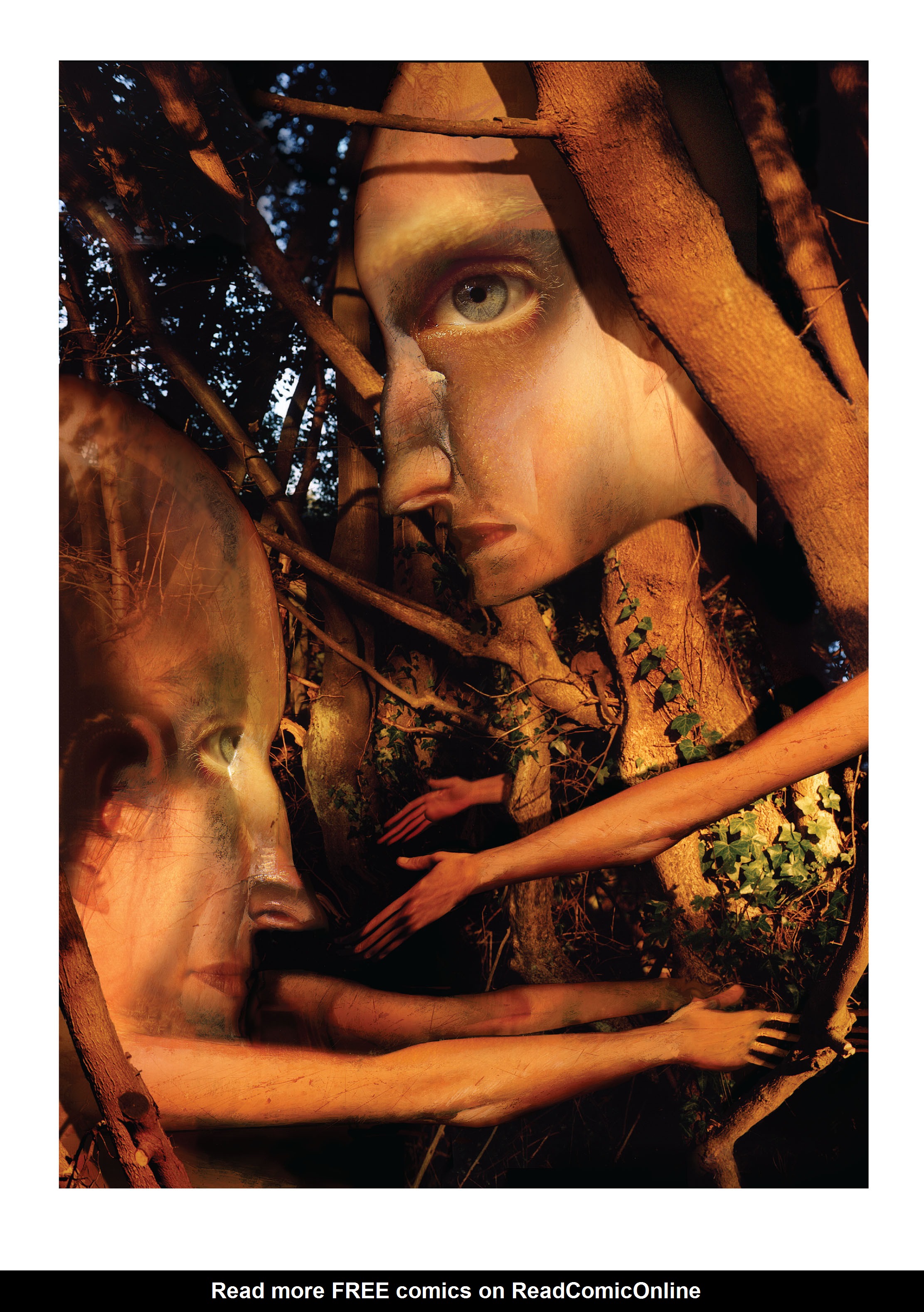 Read online Dream States: The Collected Dreaming Covers comic -  Issue # TPB (Part 1) - 71