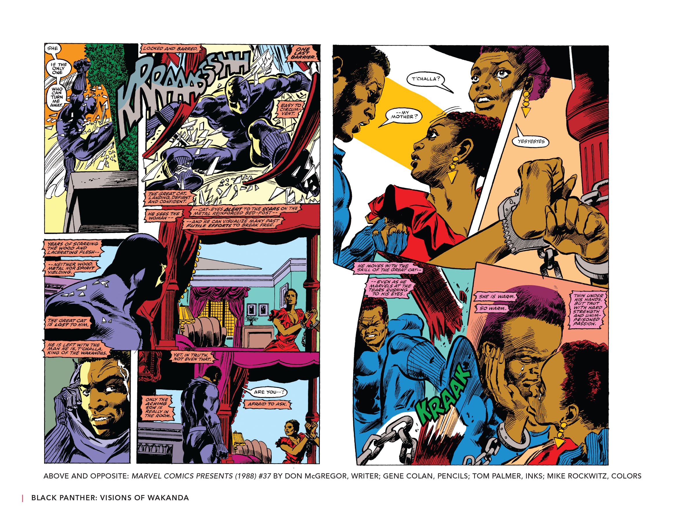 Read online Black Panther: Visions of Wakanda comic -  Issue # TPB (Part 2) - 22