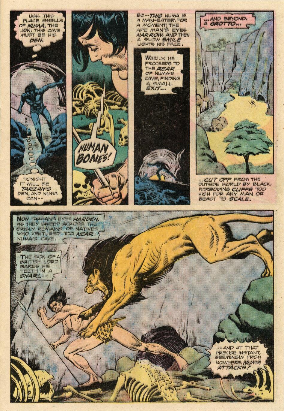 Read online Tarzan (1972) comic -  Issue #250 - 21