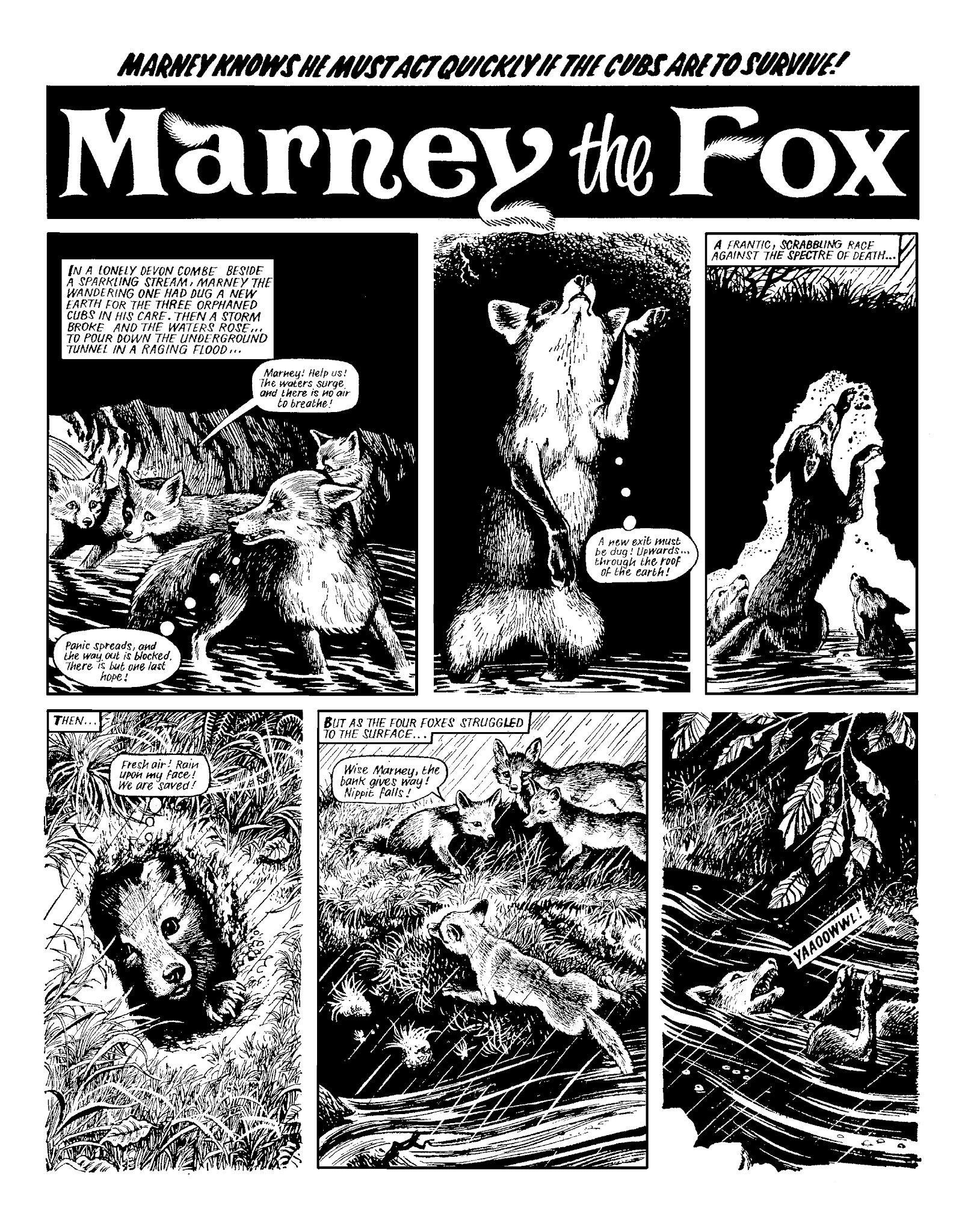 Read online Marney the Fox comic -  Issue # TPB (Part 2) - 88