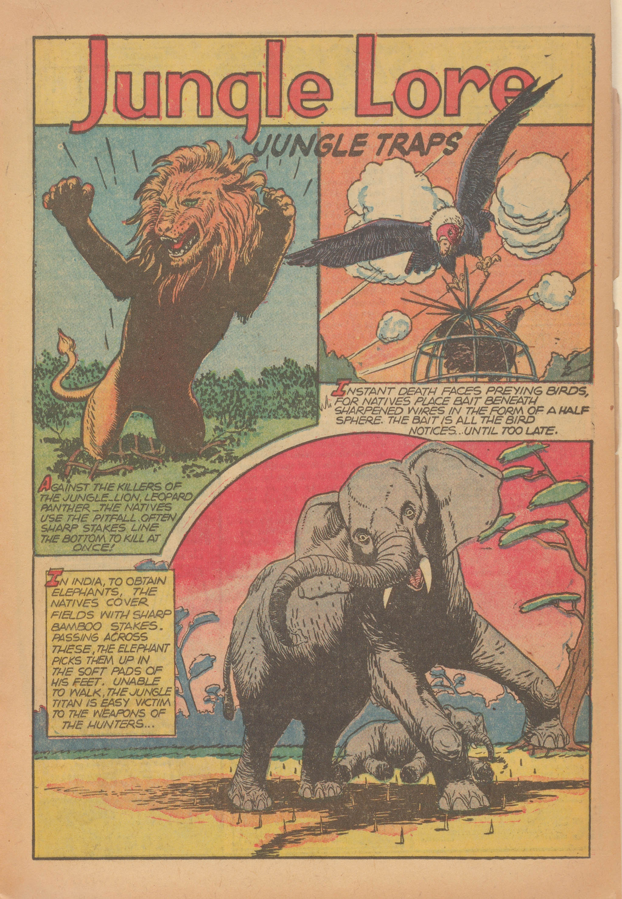 Read online Wambi Jungle Boy comic -  Issue #18 - 17