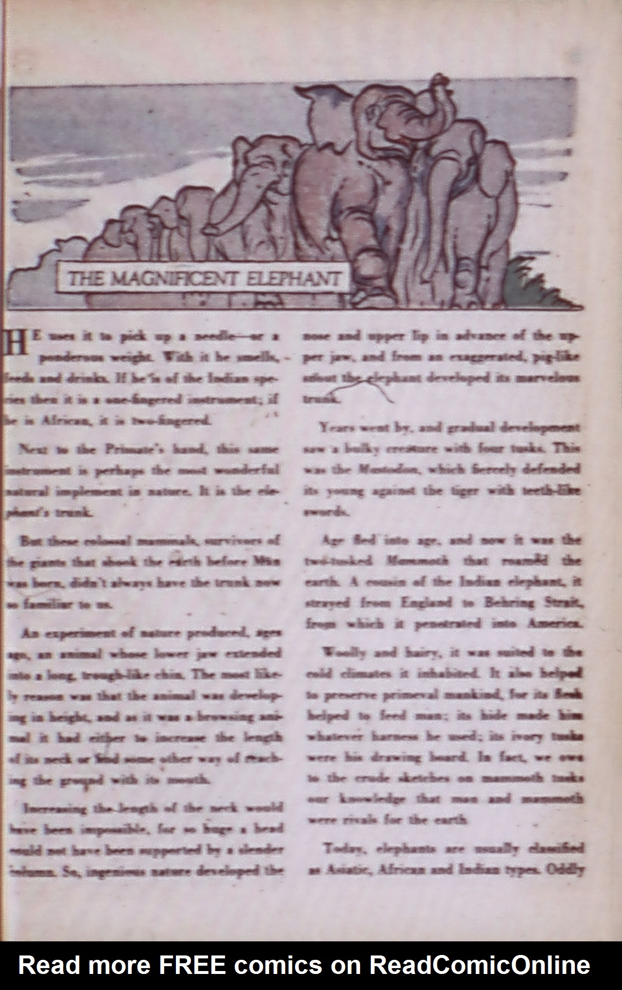 Green Lantern (1941) Issue #37 #37 - English 35