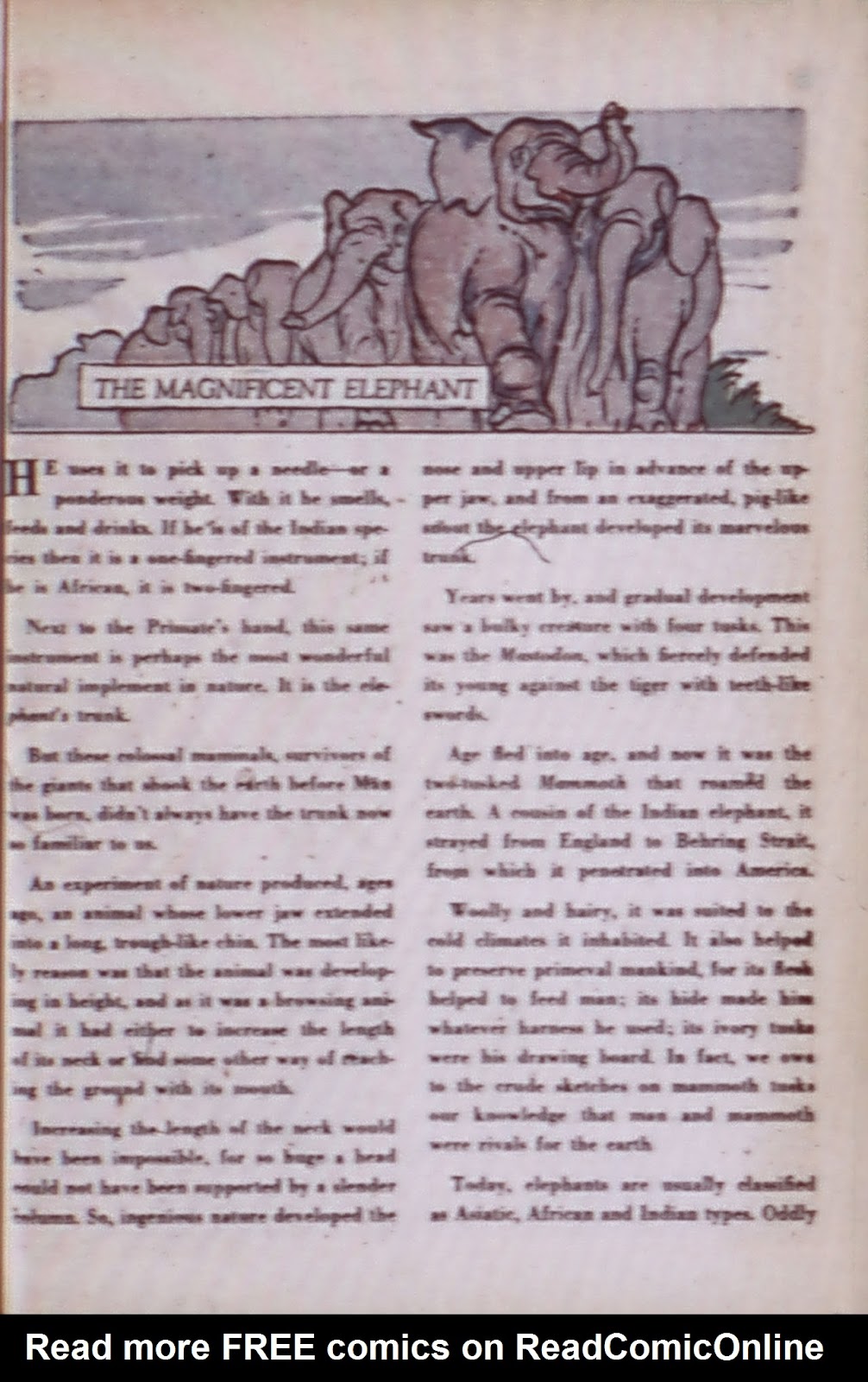 Green Lantern (1941) issue 37 - Page 35