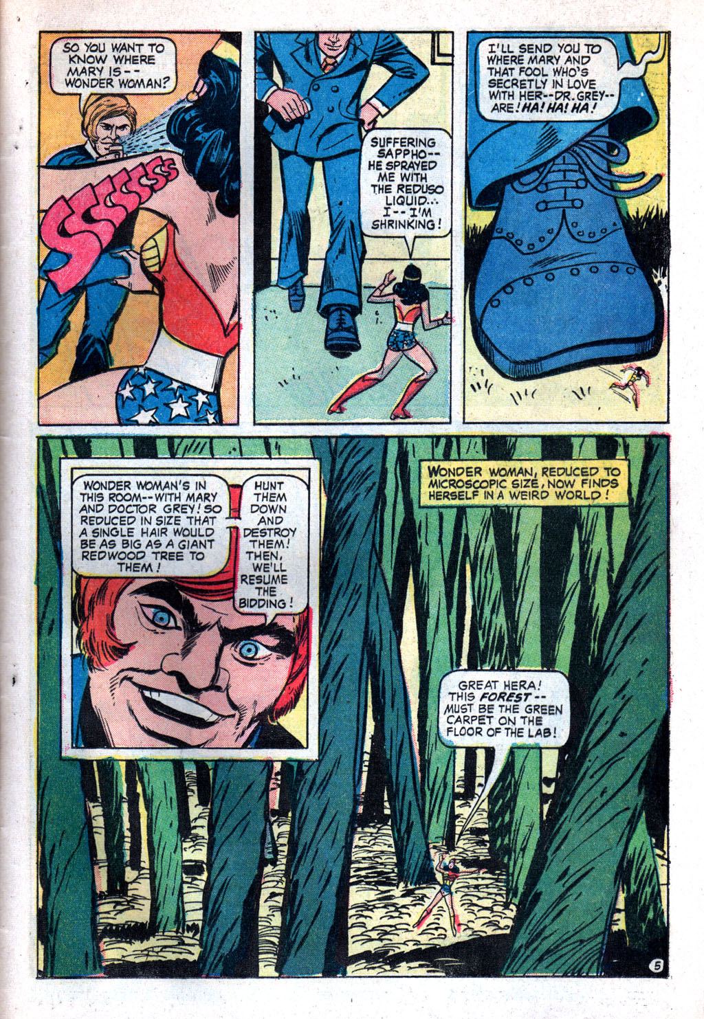 Read online Wonder Woman (1942) comic -  Issue #210 - 18