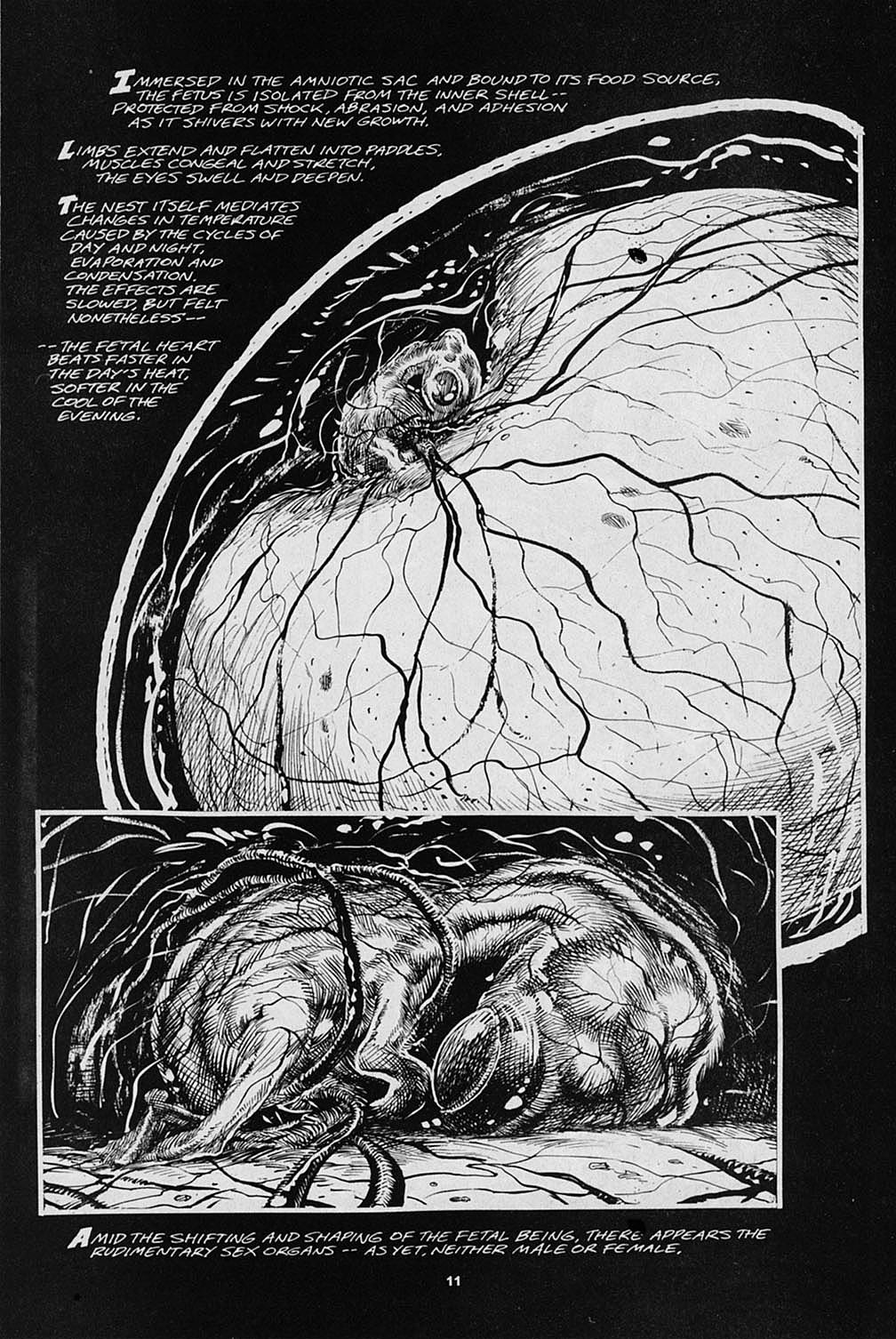 Read online S.R. Bissette's Tyrant comic -  Issue #3 - 13