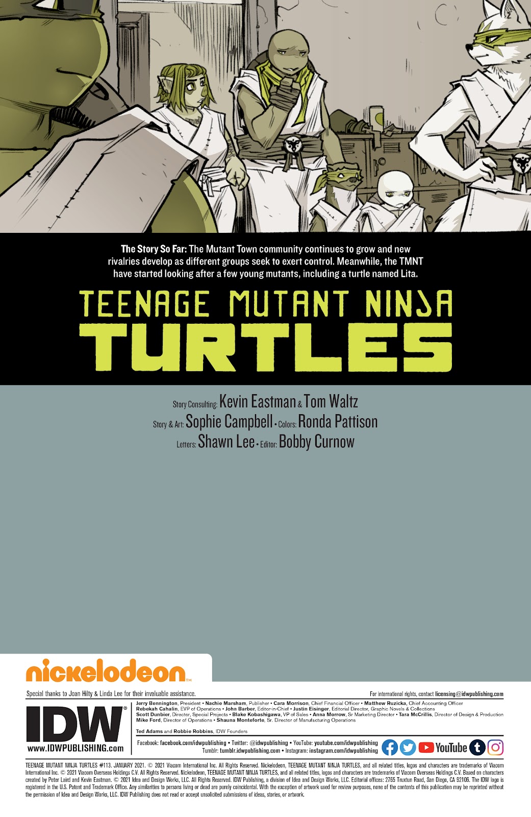Teenage Mutant Ninja Turtles (2011) issue 113 - Page 2