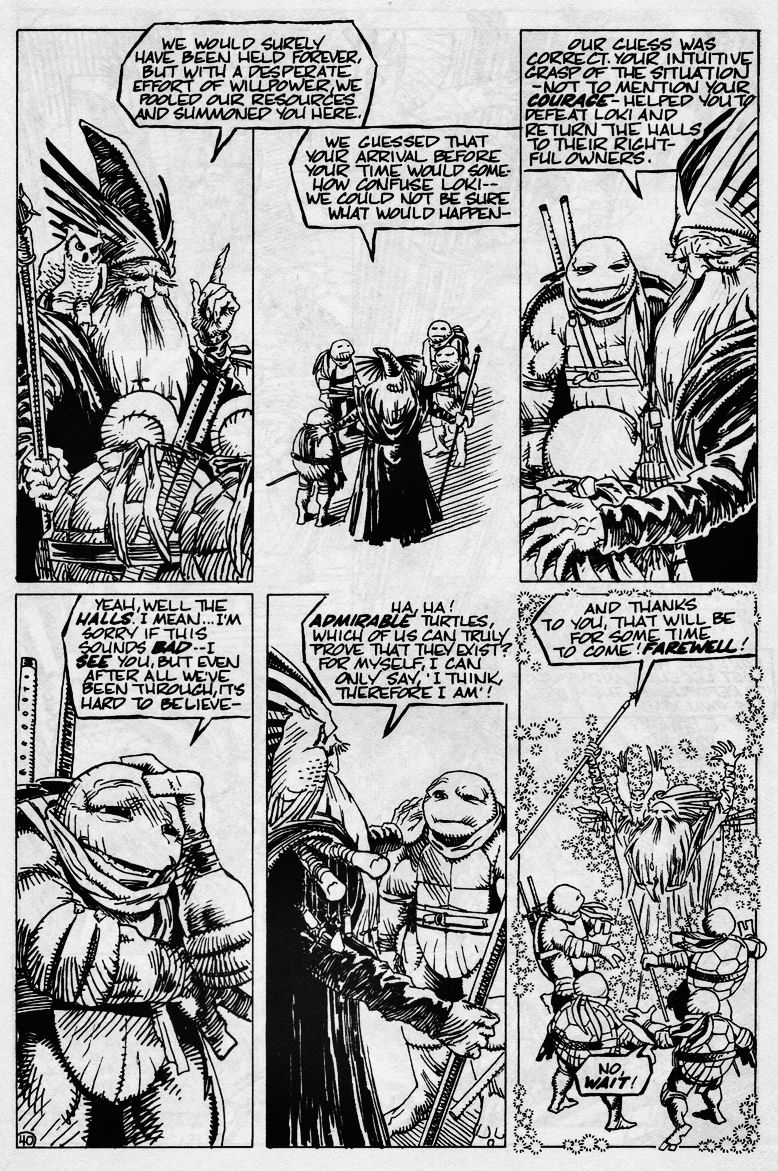 Read online Teenage Mutant Ninja Turtles (1984) comic -  Issue #43 - 42