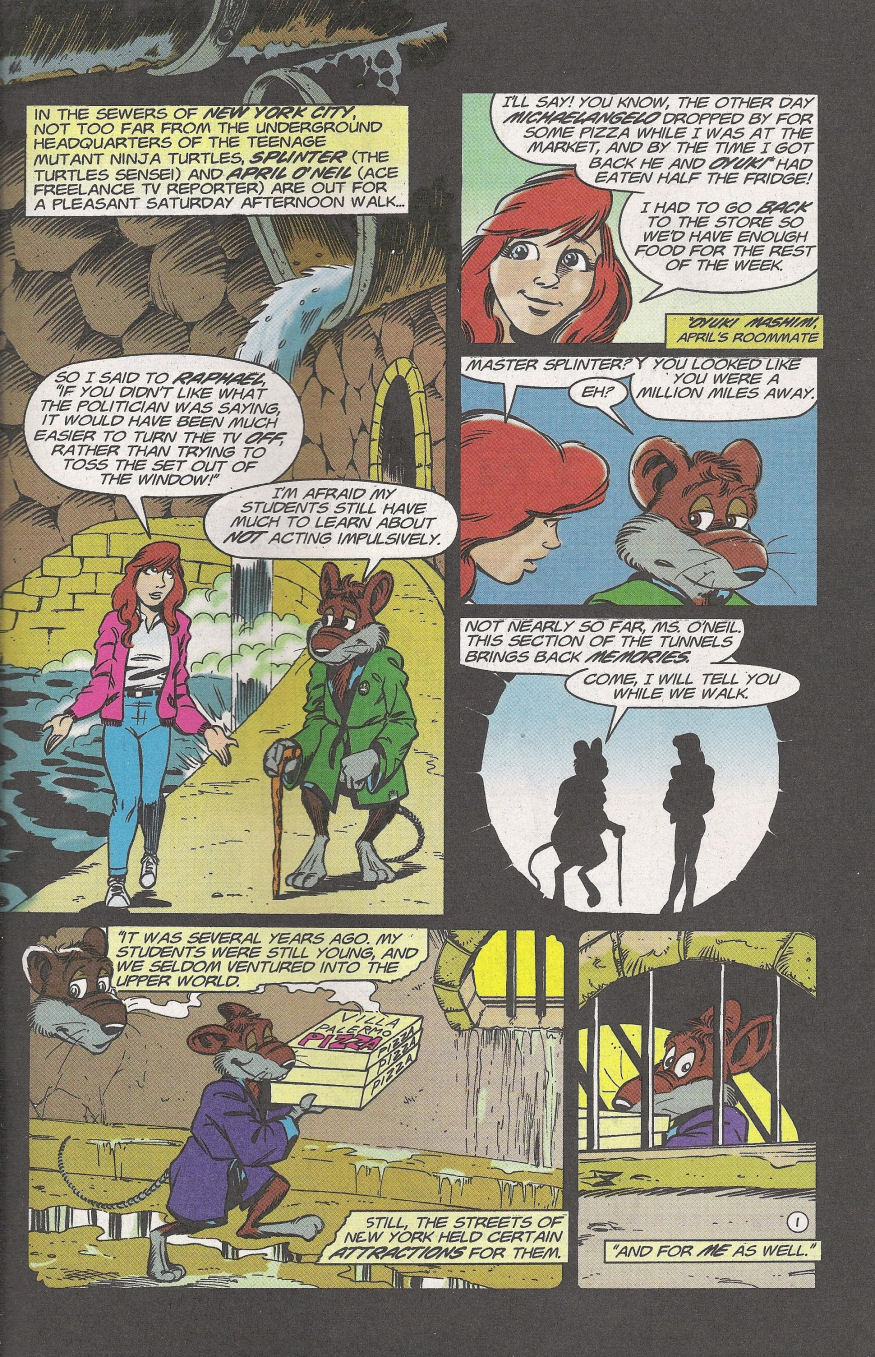 Teenage Mutant Ninja Turtles Adventures (1989) issue 71 - Page 3