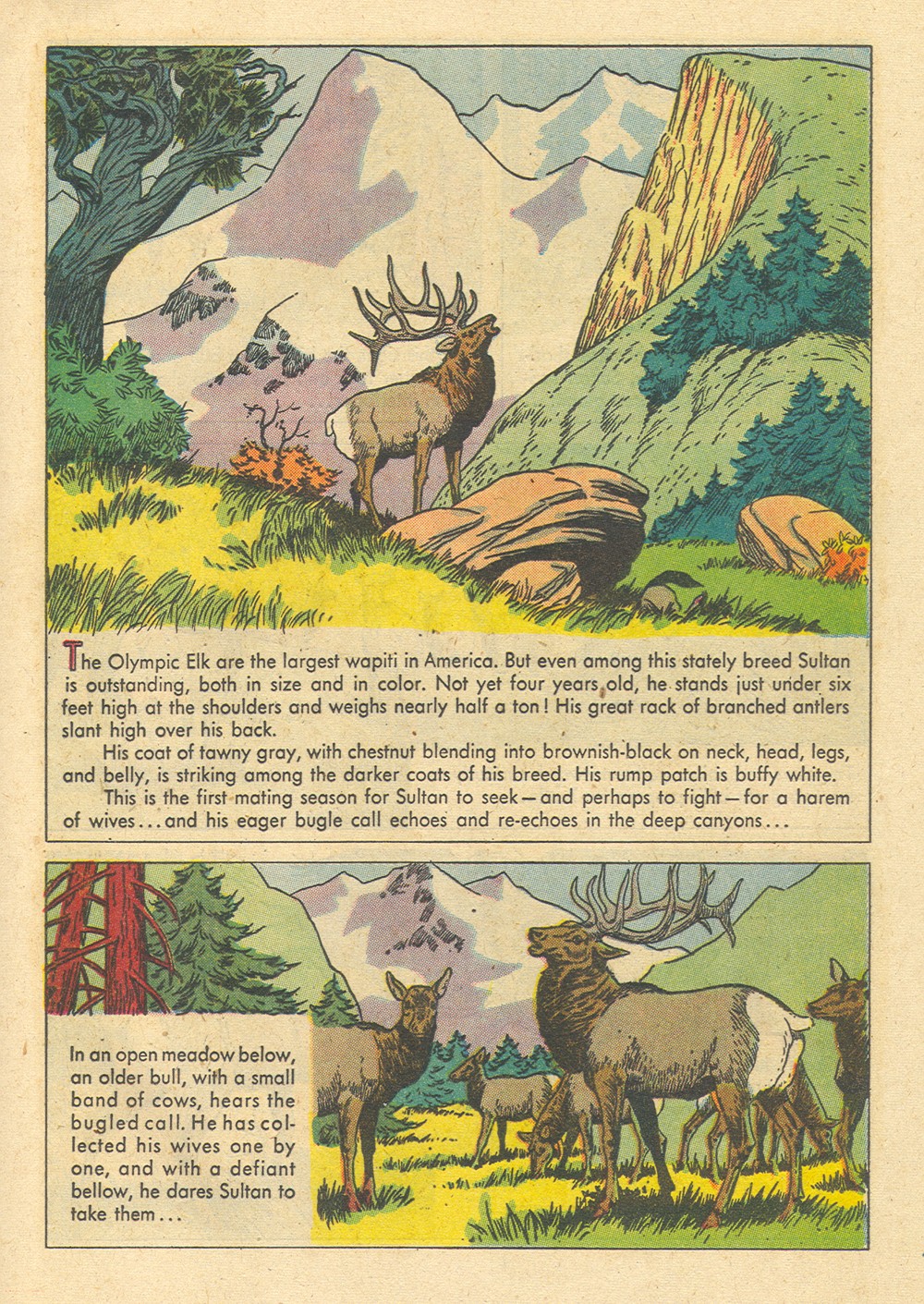 Read online Four Color Comics comic -  Issue #700 - 17