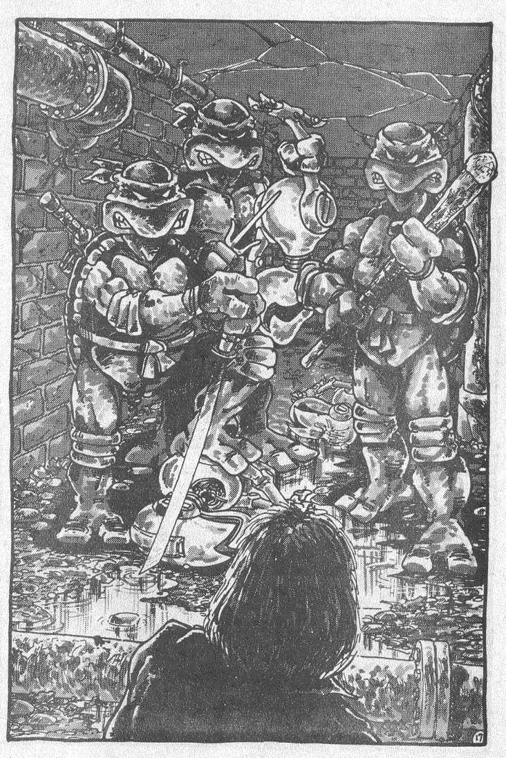 Read online Teenage Mutant Ninja Turtles (1984) comic -  Issue #2 - 19