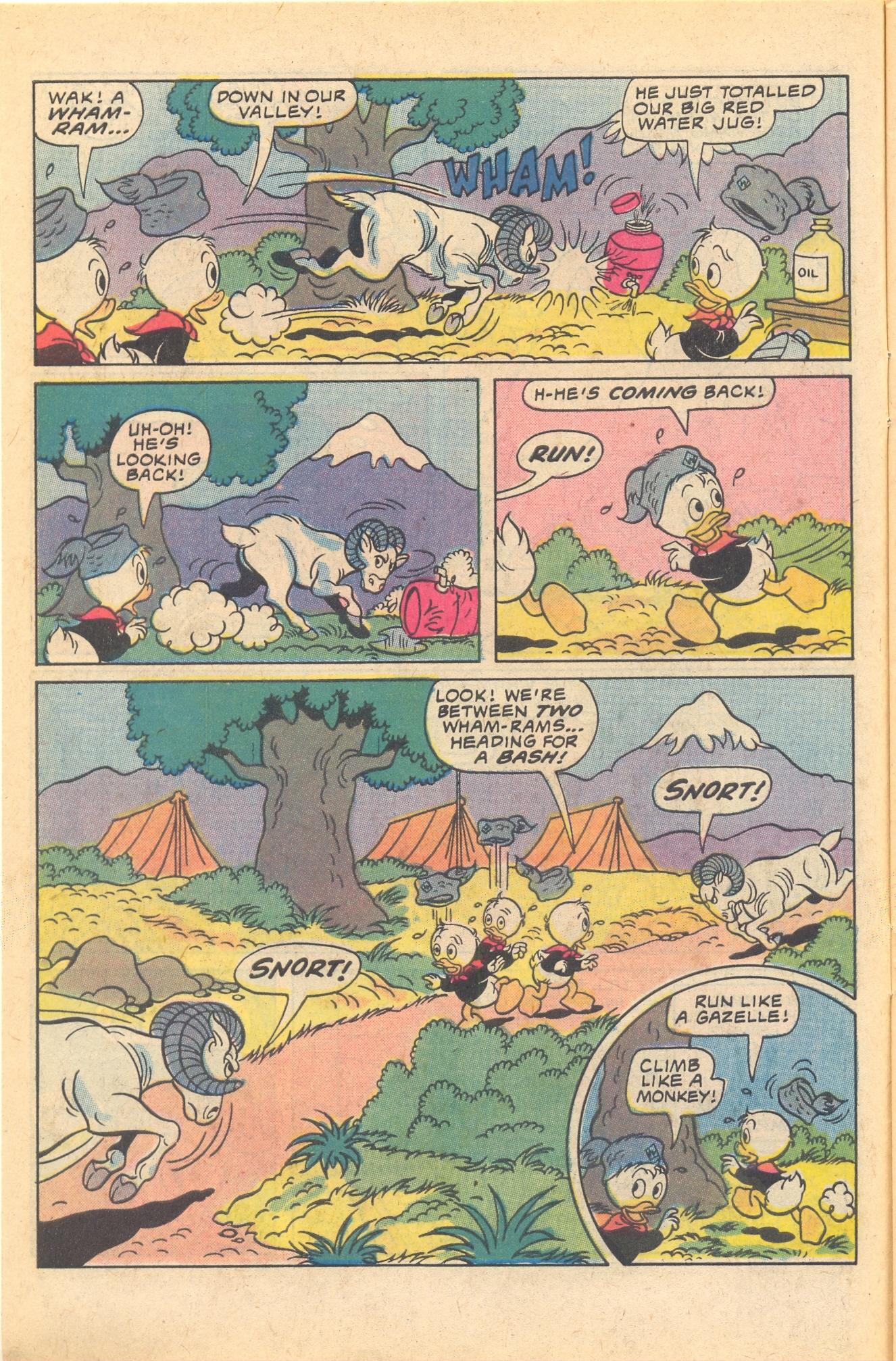 Read online Huey, Dewey, and Louie Junior Woodchucks comic -  Issue #66 - 10