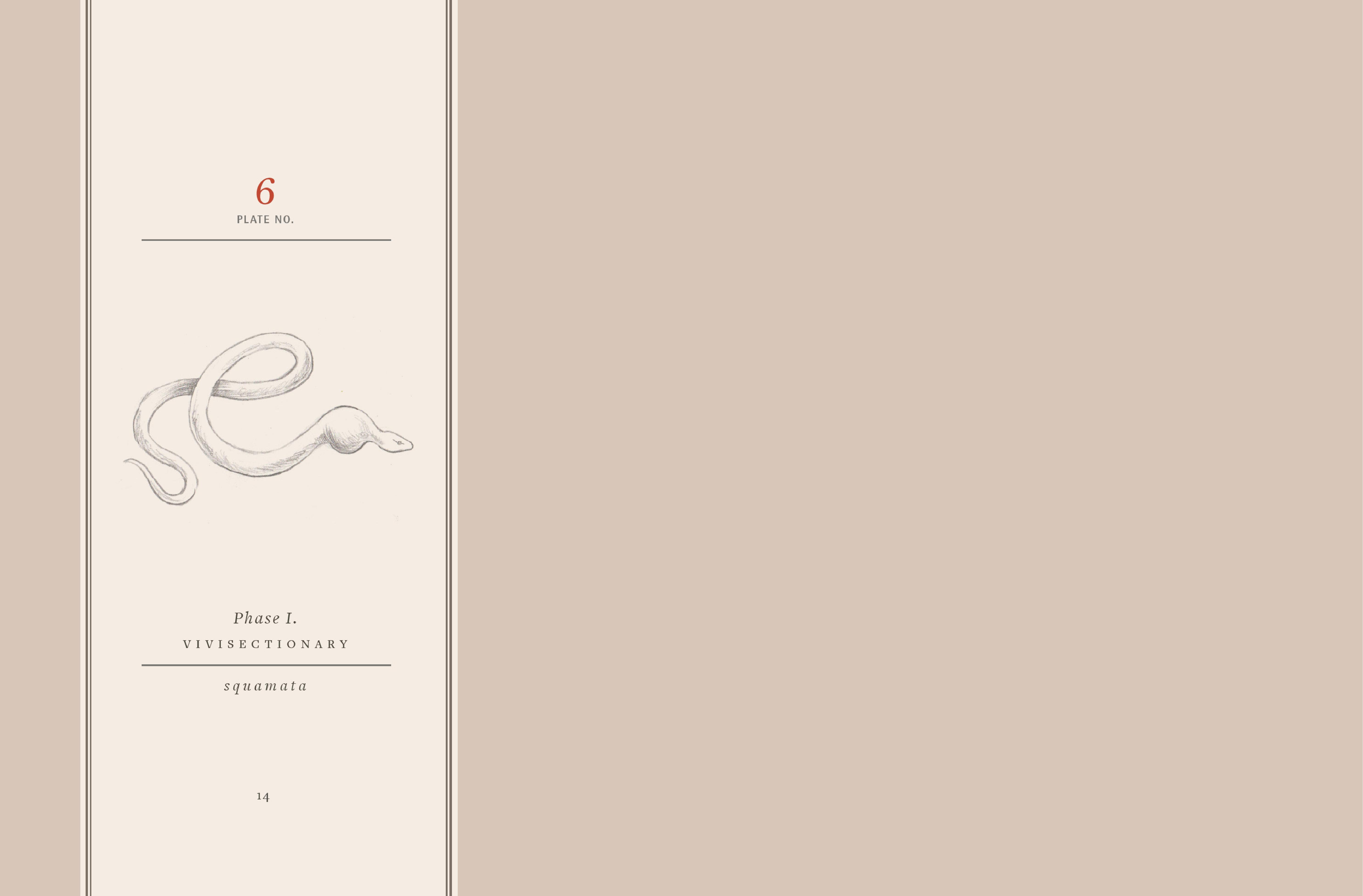 Read online Vivisectionary comic -  Issue # TPB - 15