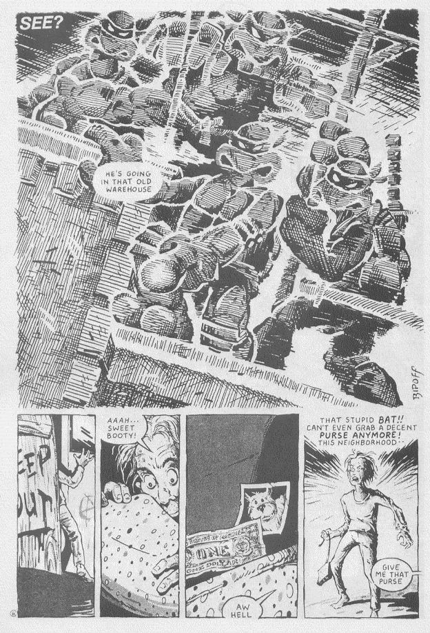 Read online Teenage Mutant Ninja Turtles (1984) comic -  Issue #16 - 9