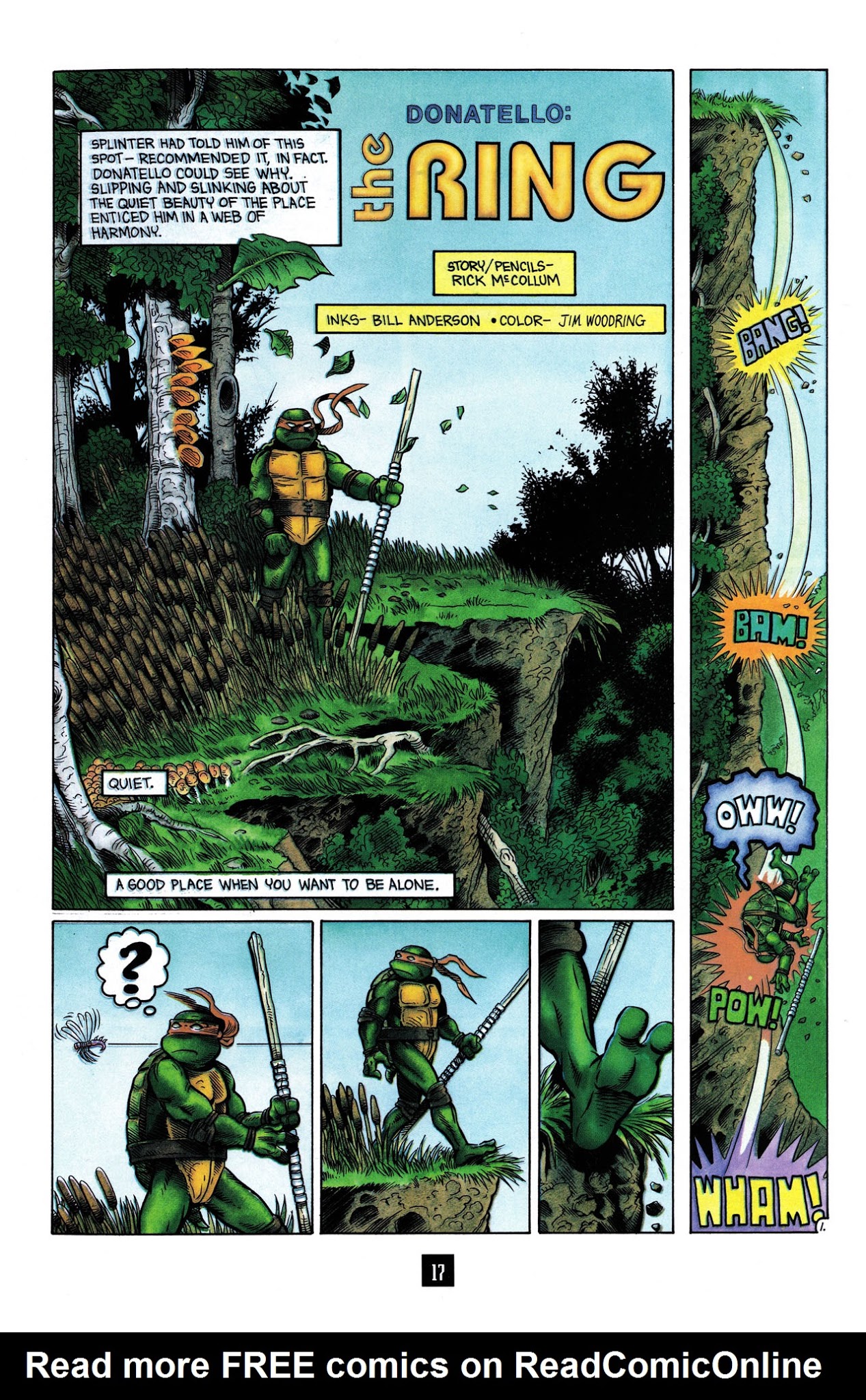 Read online Turtle Soup (1991) comic -  Issue #1 - 19