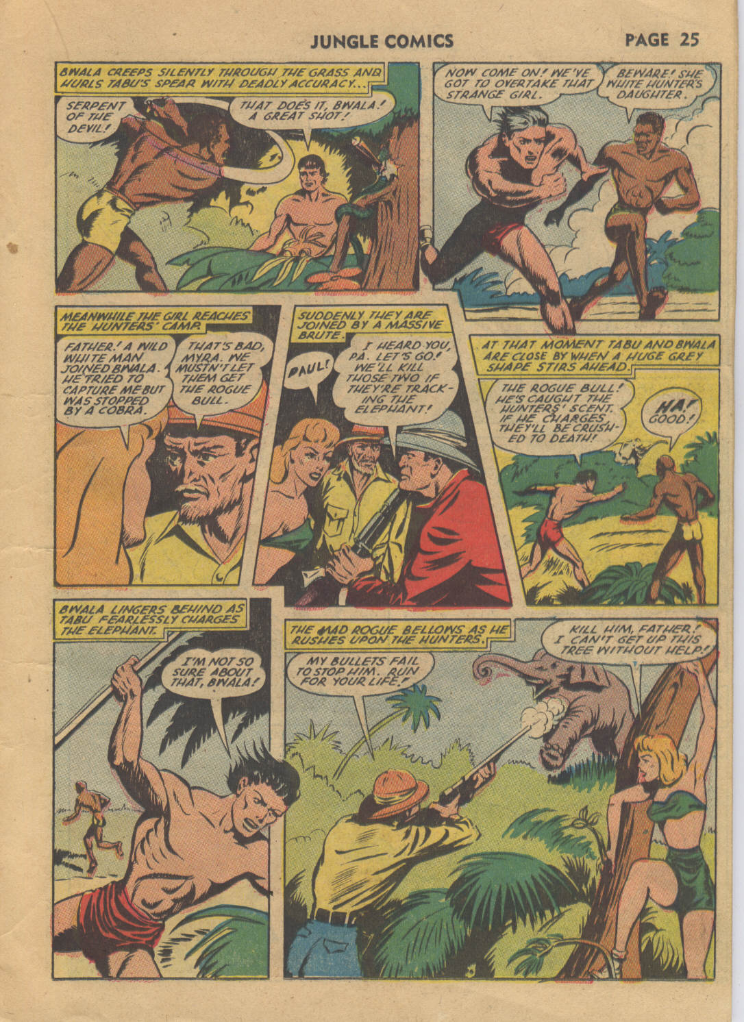 Jungle Comics (1940) issue 34 - Page 27
