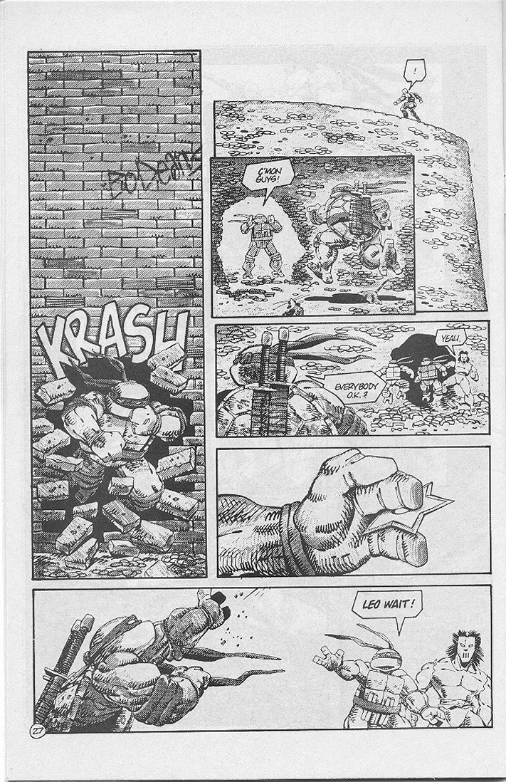 Tales of the Teenage Mutant Ninja Turtles issue 4 - Page 30
