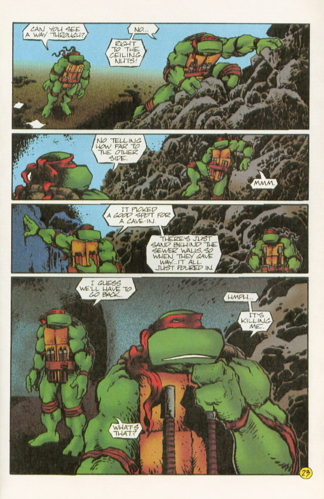 Read online Teenage Mutant Ninja Turtles (1993) comic -  Issue #6 - 24
