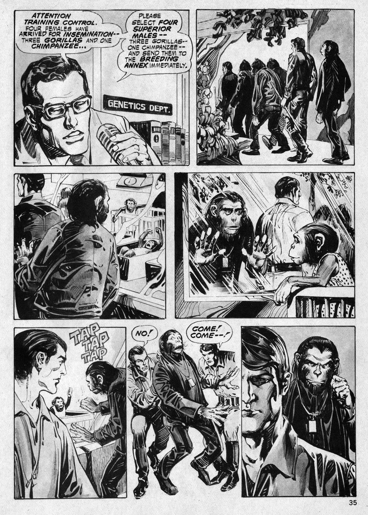 Read online Planet of the Apes comic -  Issue #18 - 34