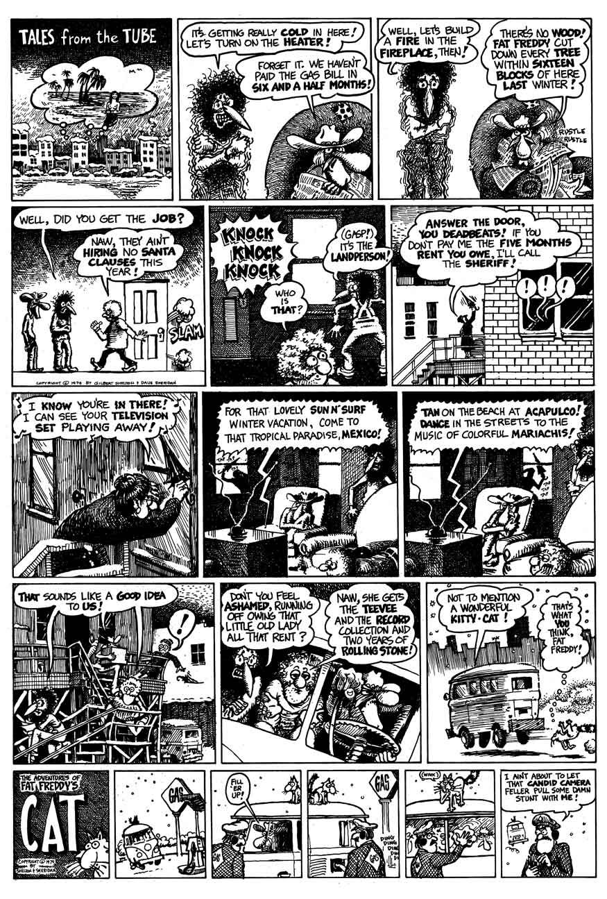 The Fabulous Furry Freak Brothers issue 4 - Page 4