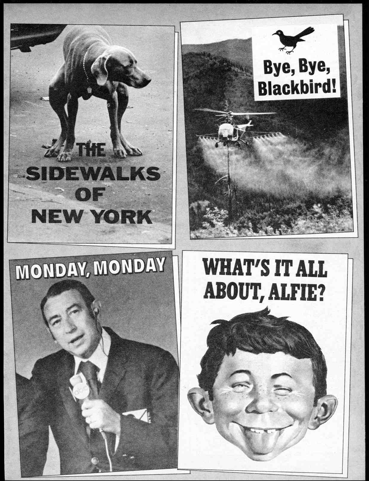 Read online MAD comic -  Issue #160 - 27