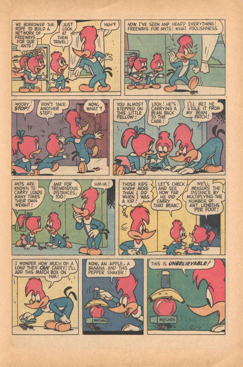 Read online Walter Lantz Woody Woodpecker (1962) comic -  Issue #119 - 5
