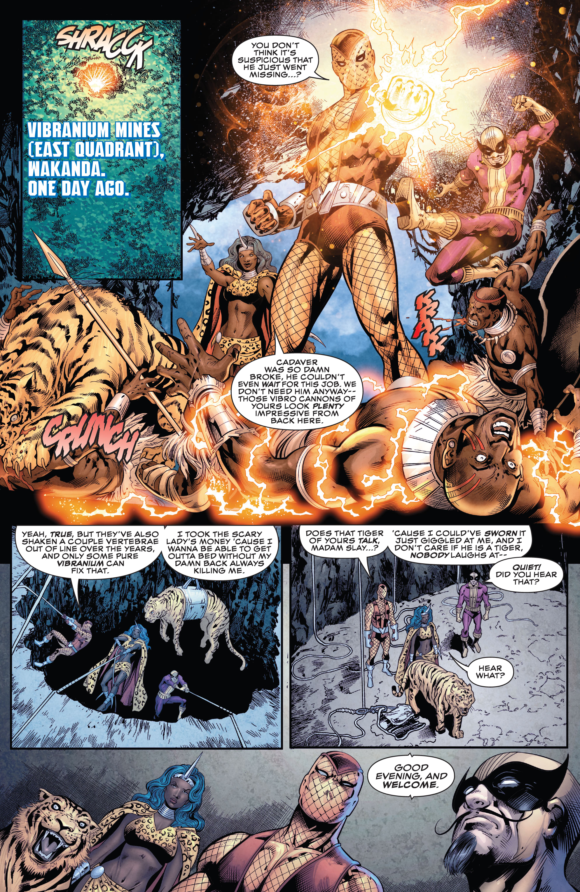 Read online Wakanda comic -  Issue #5 - 12