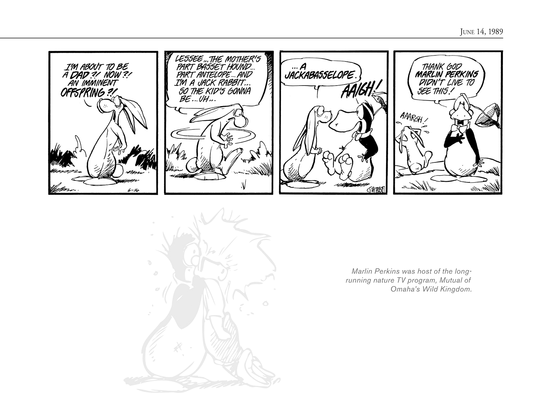 Read online The Bloom County Digital Library comic -  Issue # TPB 9 (Part 2) - 73