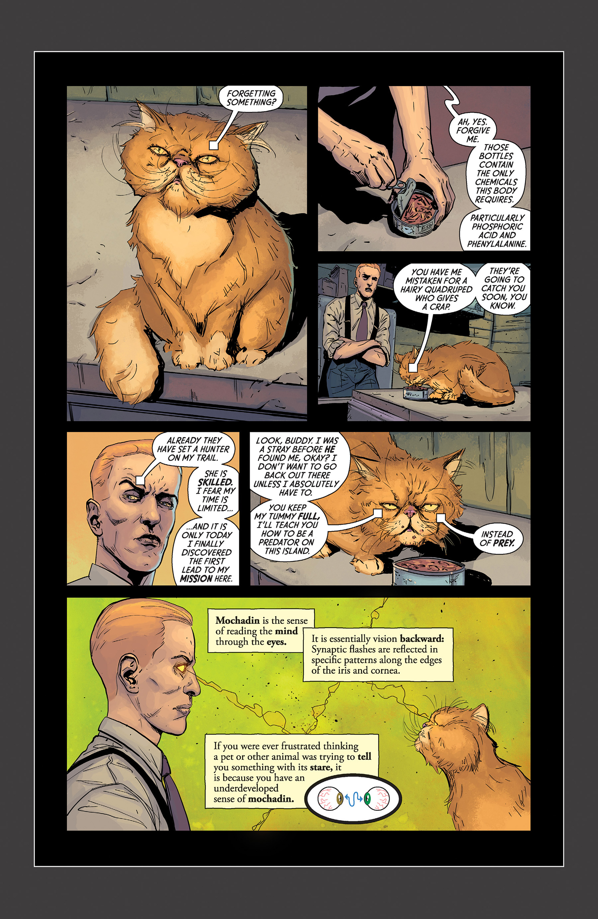 Read online Beasts of Burden: What The Cat Dragged In comic -  Issue # Full - 30