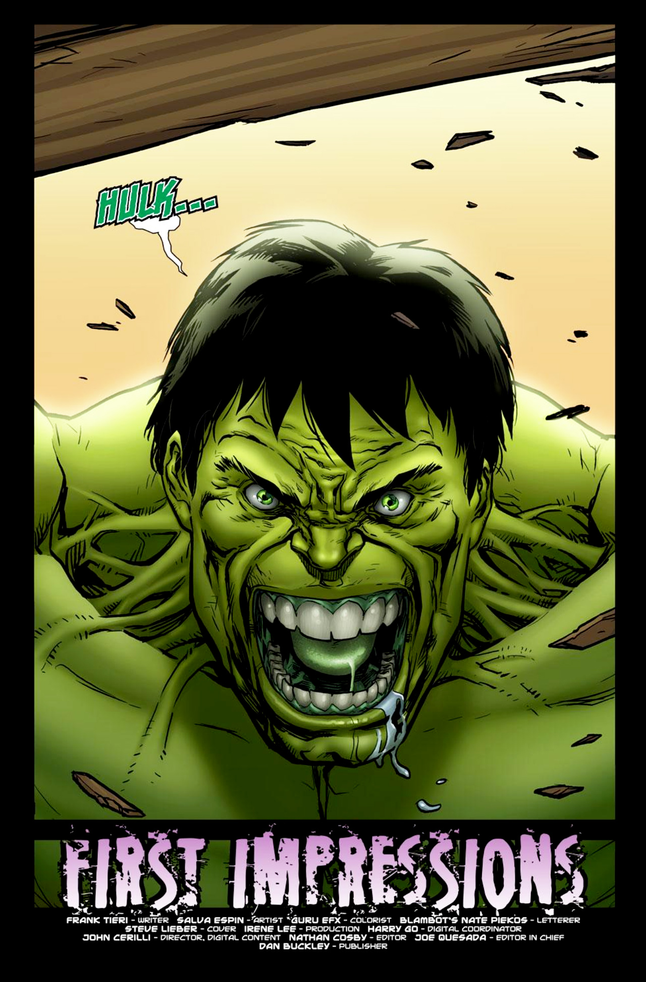 Read online Incredible Hulk: The Fury Files comic -  Issue #1 - 2